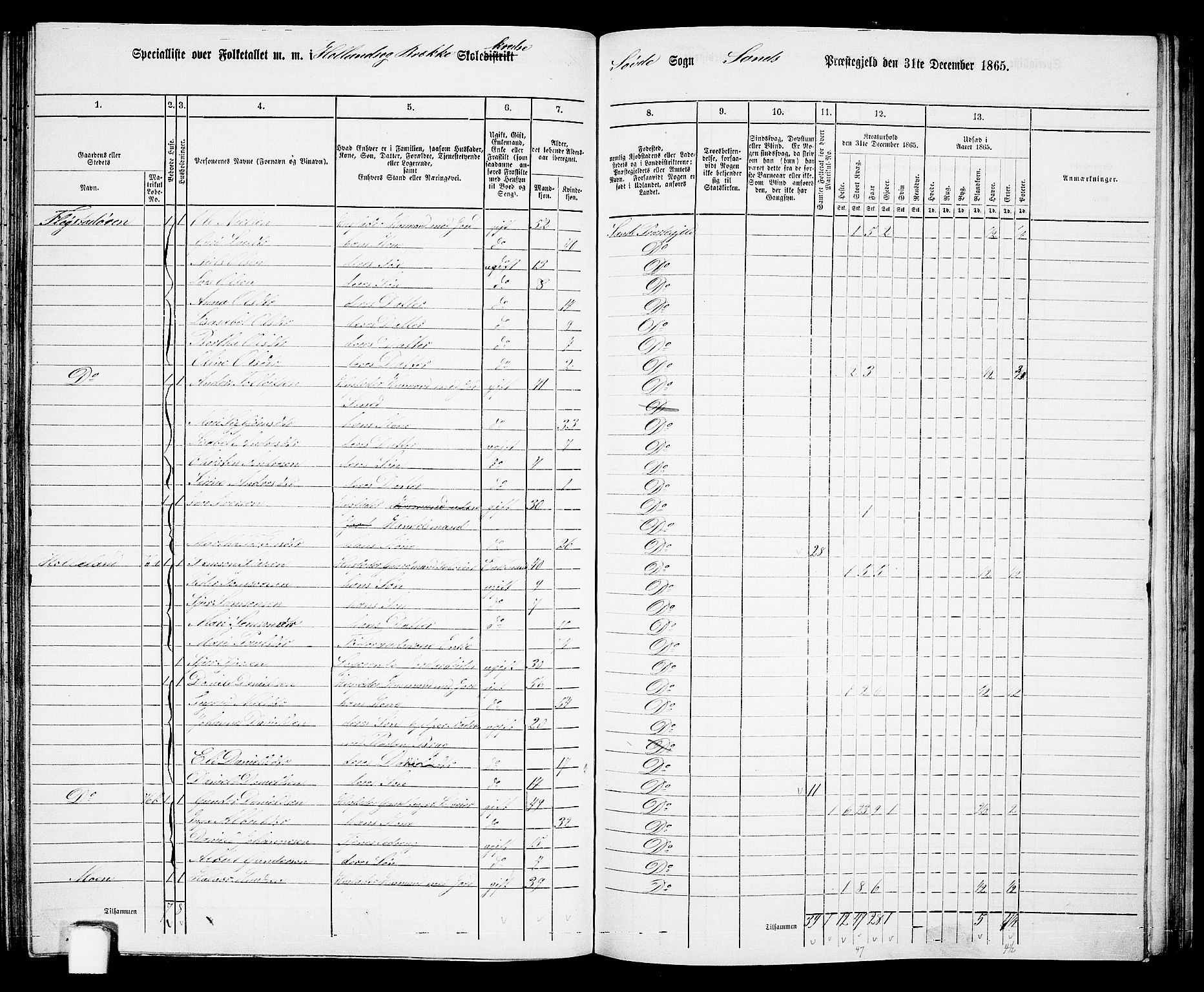 RA, 1865 census for Sand, 1865, p. 110