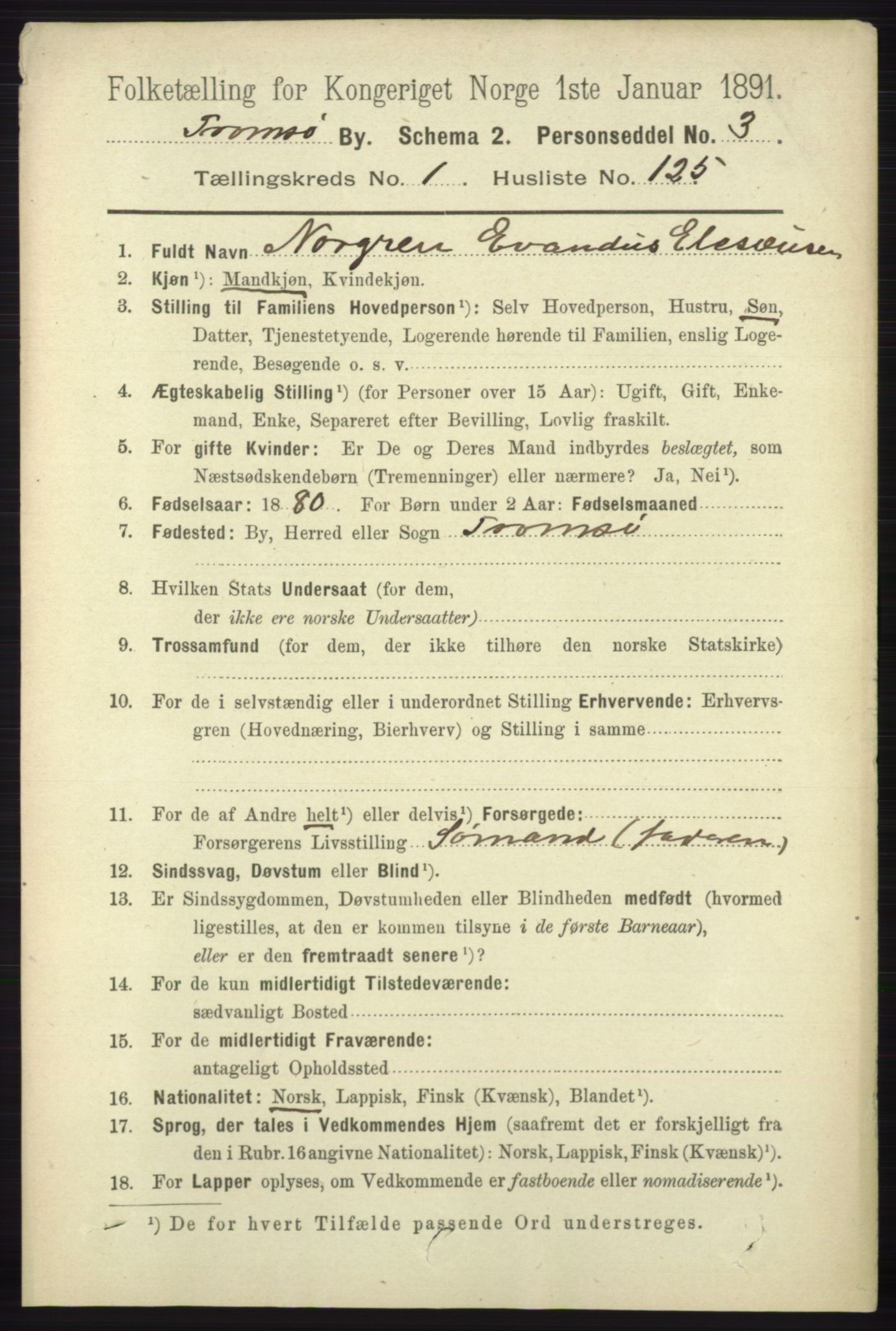 RA, 1891 census for 1902 Tromsø, 1891, p. 1578