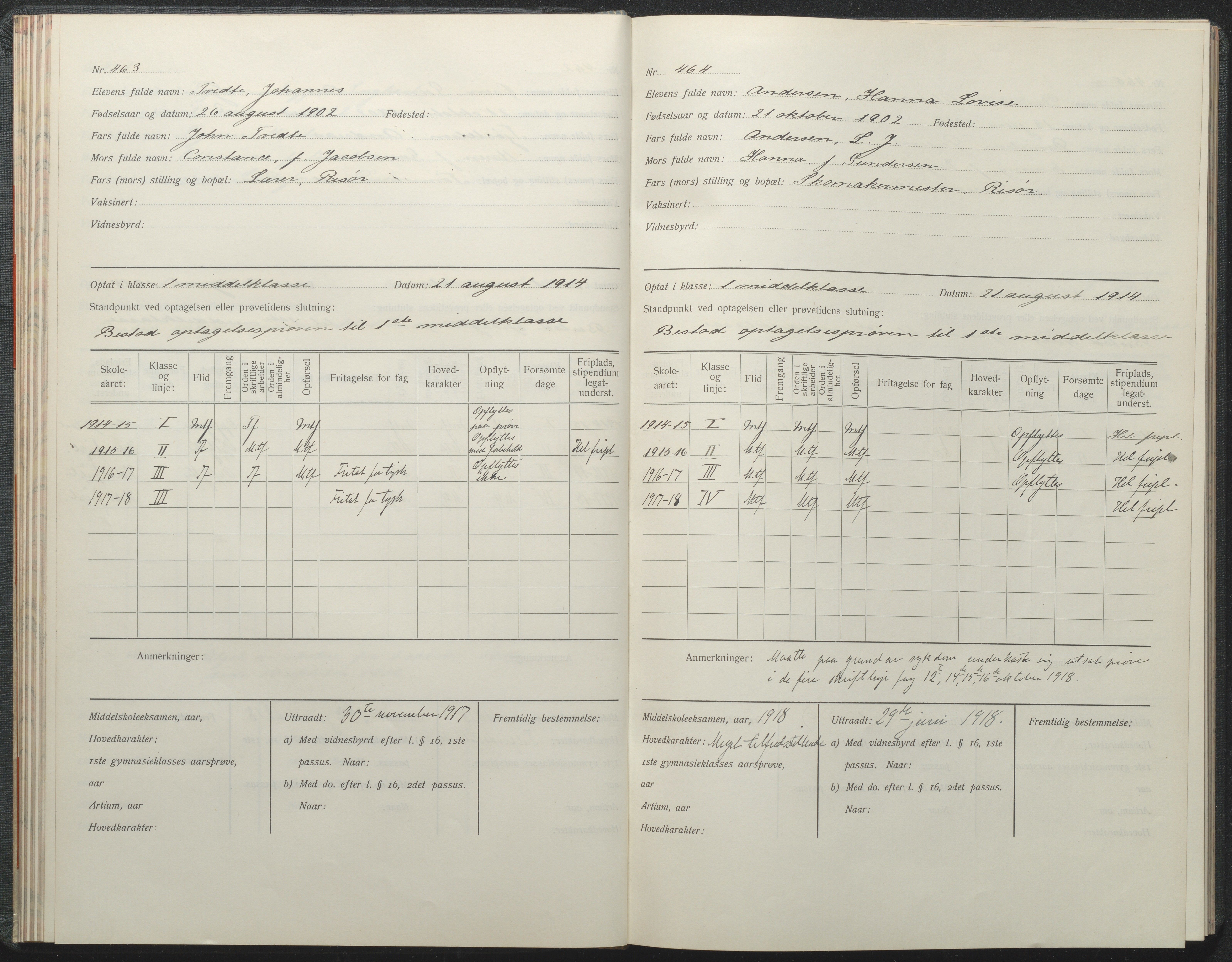 Risør kommune, AAKS/KA0901-PK/1/05/05i/L0002: Manntallsprotokoll, 1911-1925, p. 463-464