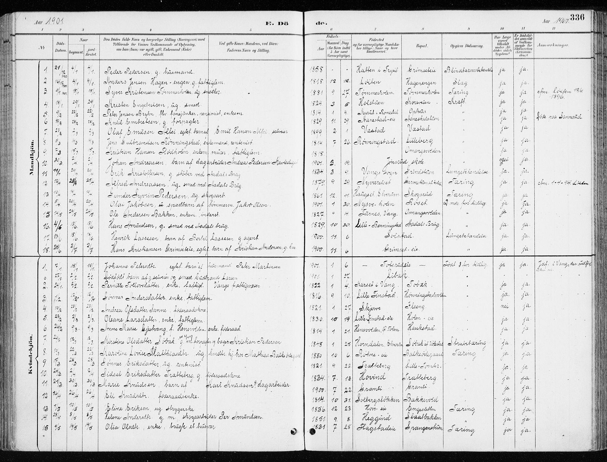 Løten prestekontor, SAH/PREST-022/K/Ka/L0010: Parish register (official) no. 10, 1892-1907, p. 336