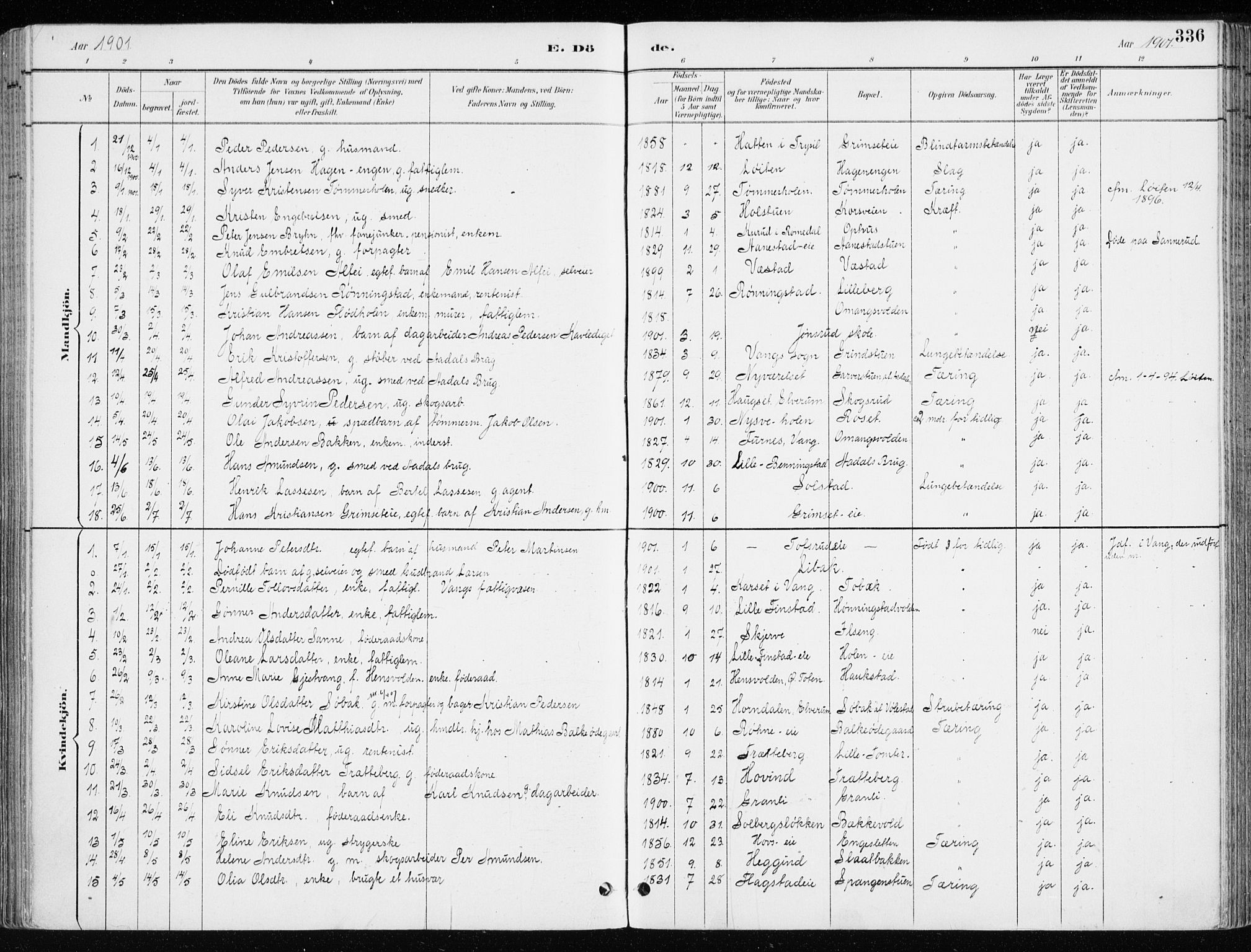 Løten prestekontor, AV/SAH-PREST-022/K/Ka/L0010: Parish register (official) no. 10, 1892-1907, p. 336