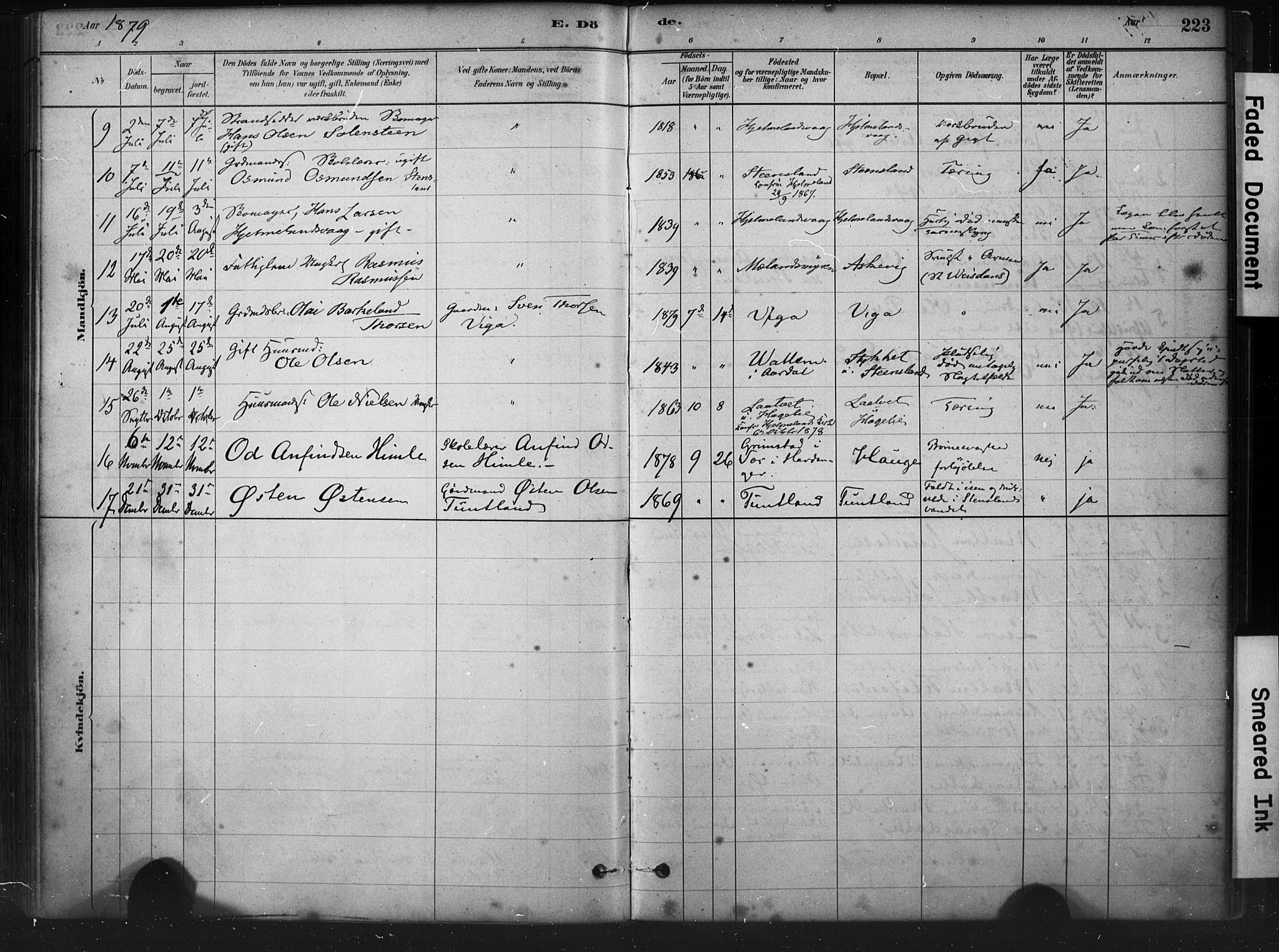 Hjelmeland sokneprestkontor, AV/SAST-A-101843/01/IV/L0014: Parish register (official) no. A 14, 1879-1900, p. 223