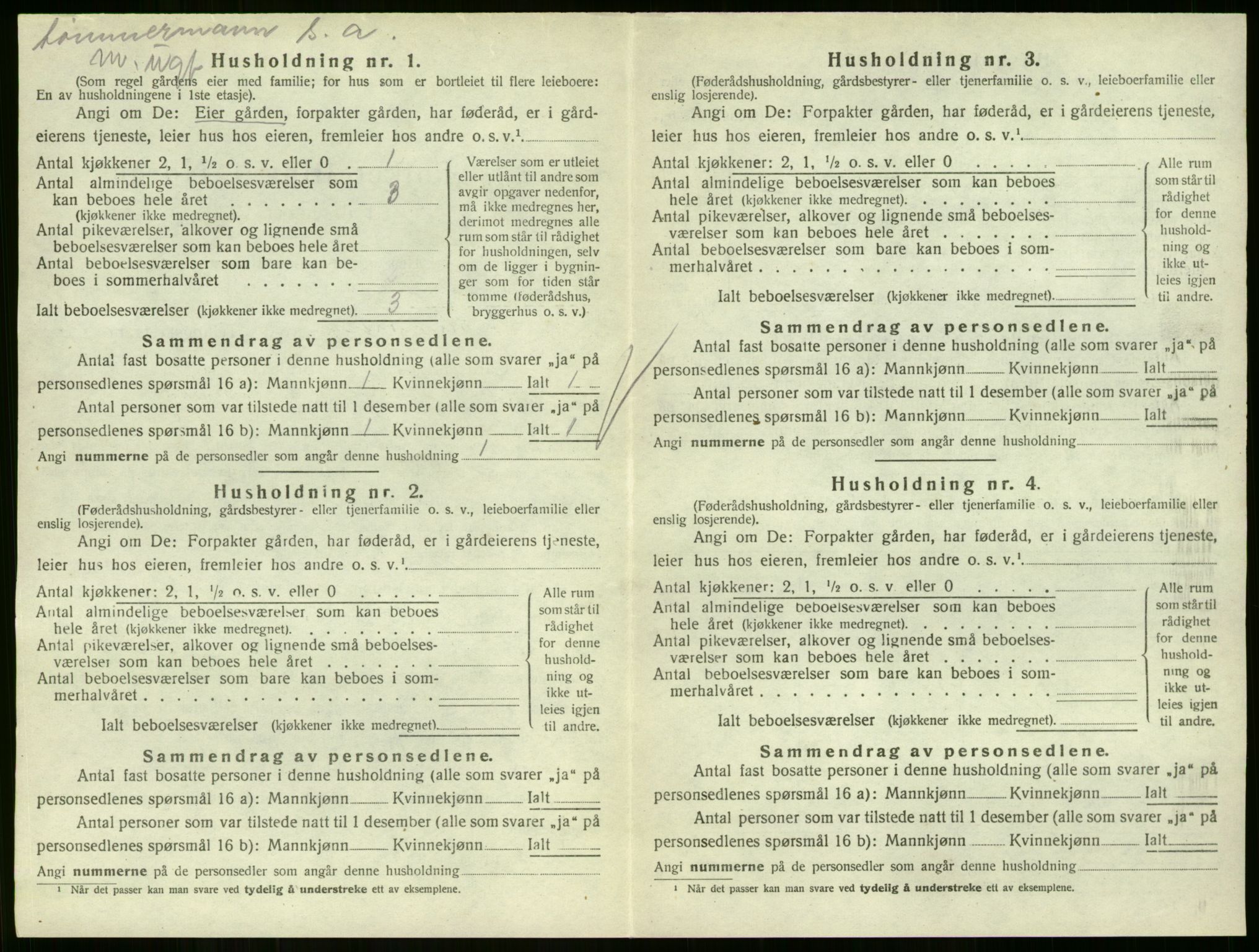 SAKO, 1920 census for Hof, 1920, p. 33