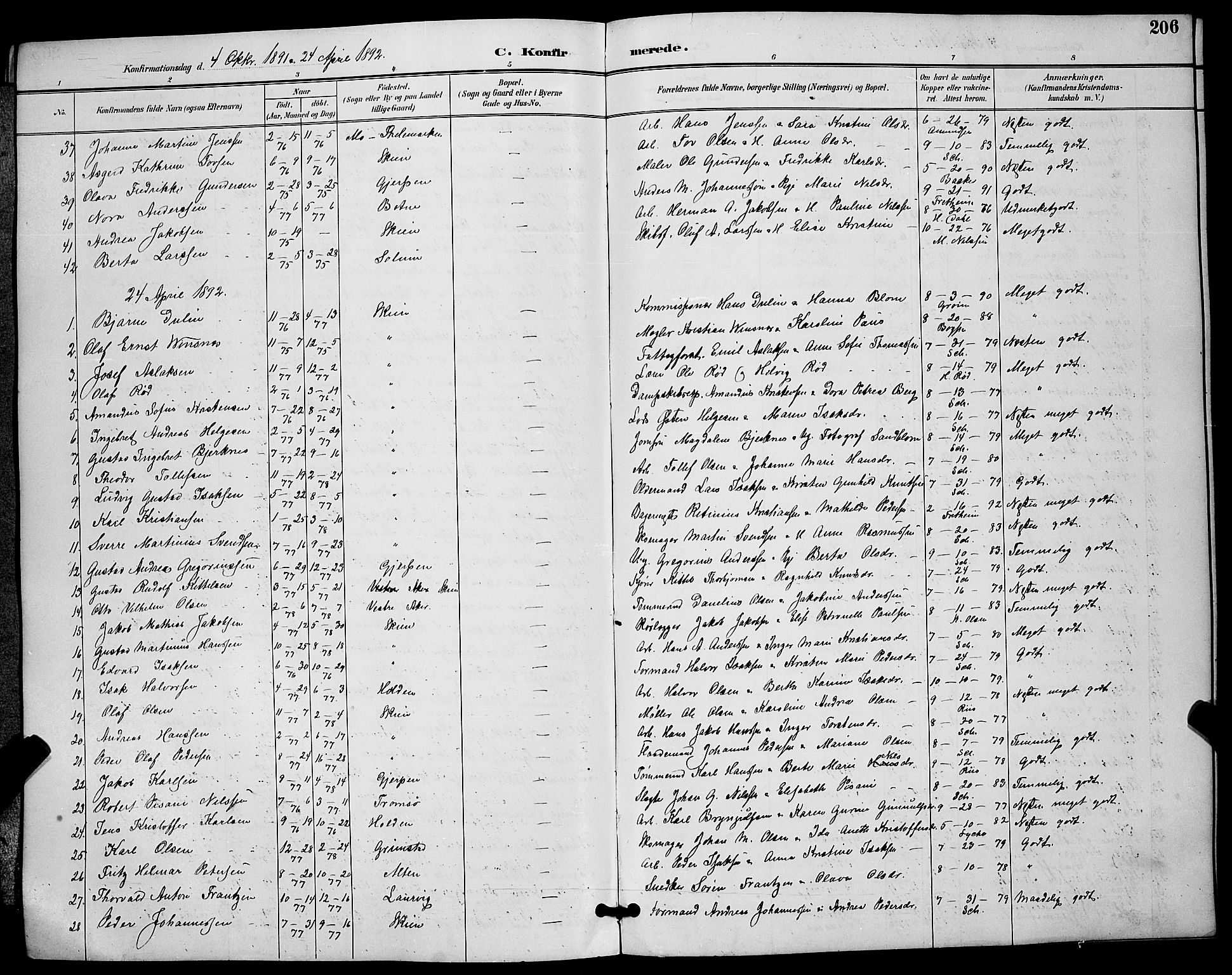 Skien kirkebøker, AV/SAKO-A-302/G/Ga/L0007: Parish register (copy) no. 7, 1891-1900, p. 206