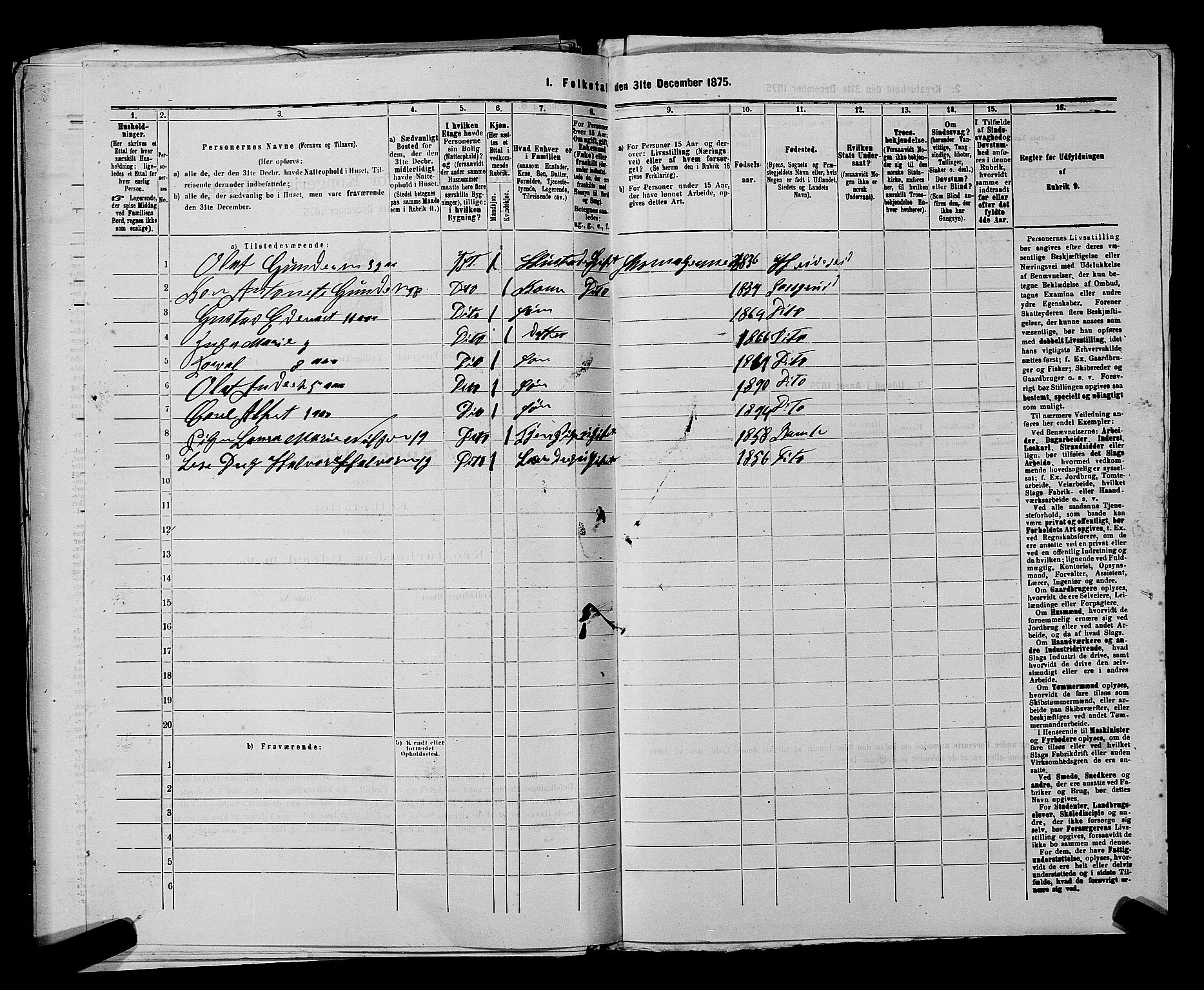 SAKO, 1875 census for 0805P Porsgrunn, 1875, p. 317