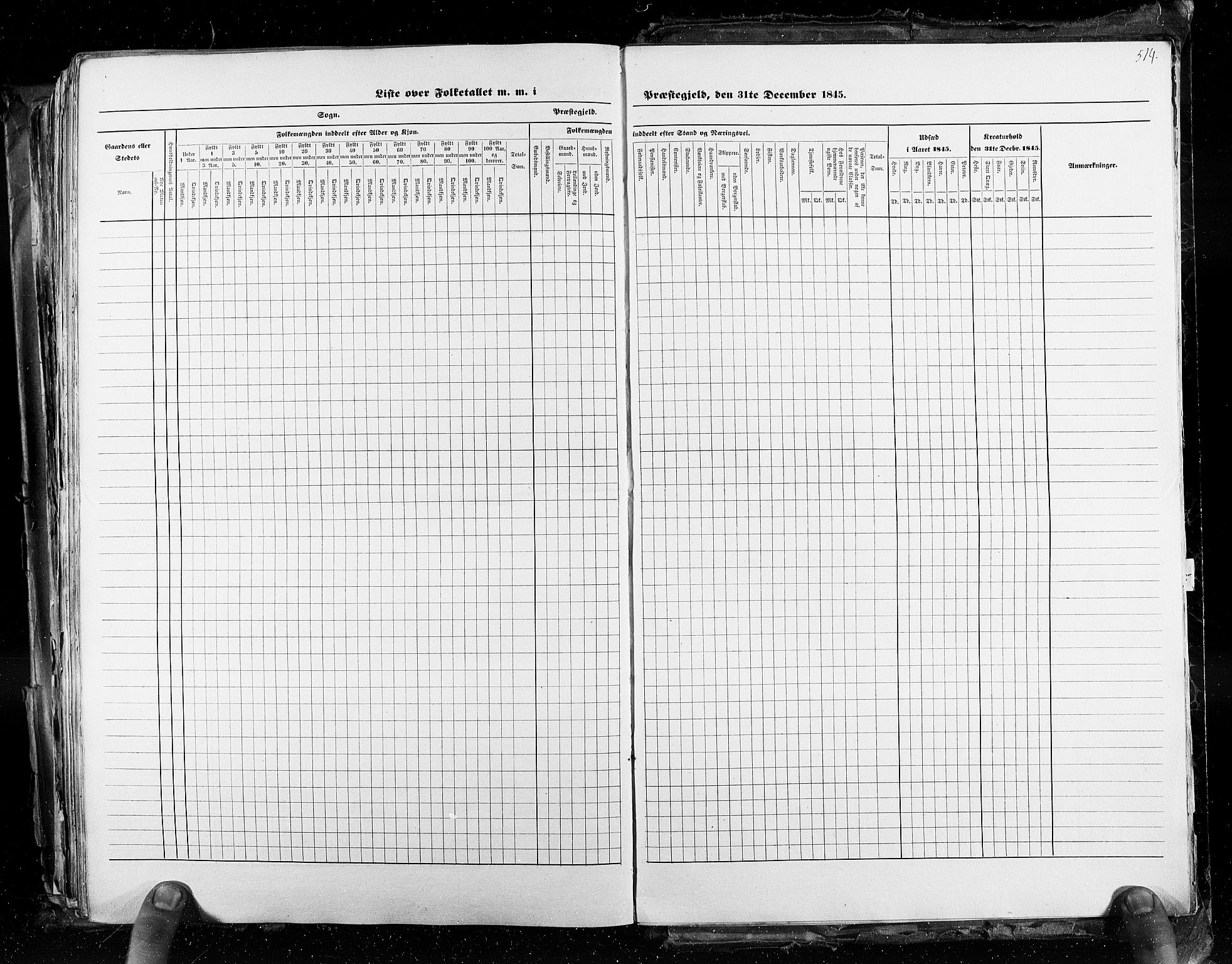 RA, Census 1845, vol. 3: Hedemarken amt og Kristians amt, 1845, p. 514