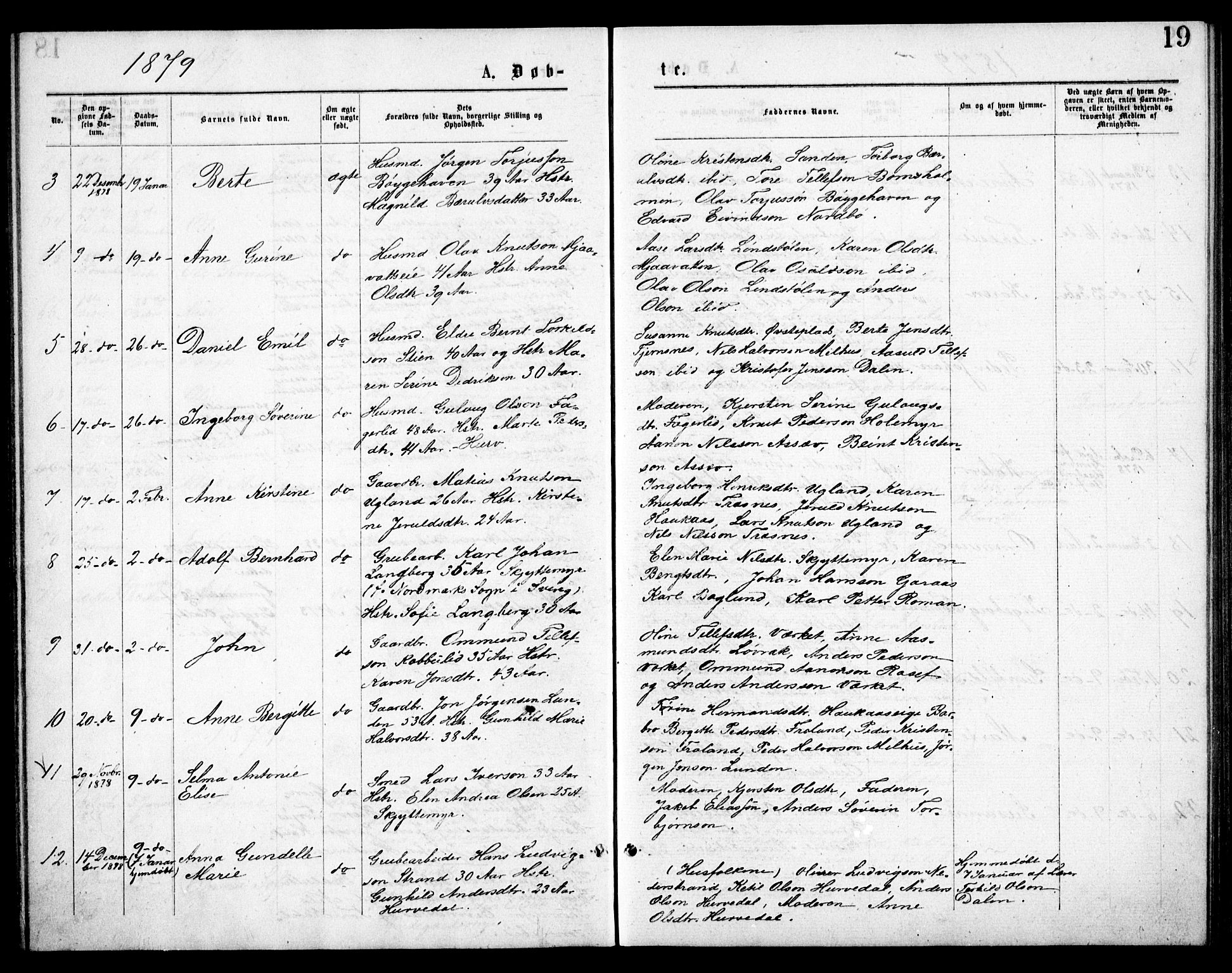 Froland sokneprestkontor, AV/SAK-1111-0013/F/Fb/L0009: Parish register (copy) no. B 9, 1875-1893, p. 19