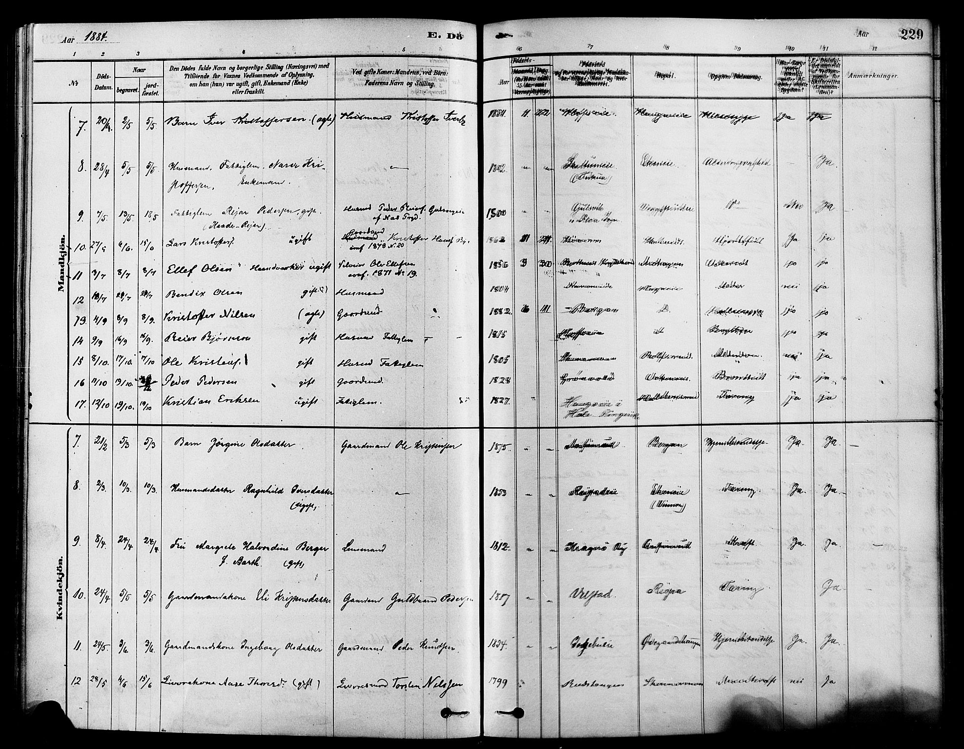 Sigdal kirkebøker, SAKO/A-245/F/Fa/L0011: Parish register (official) no. I 11, 1879-1887, p. 229