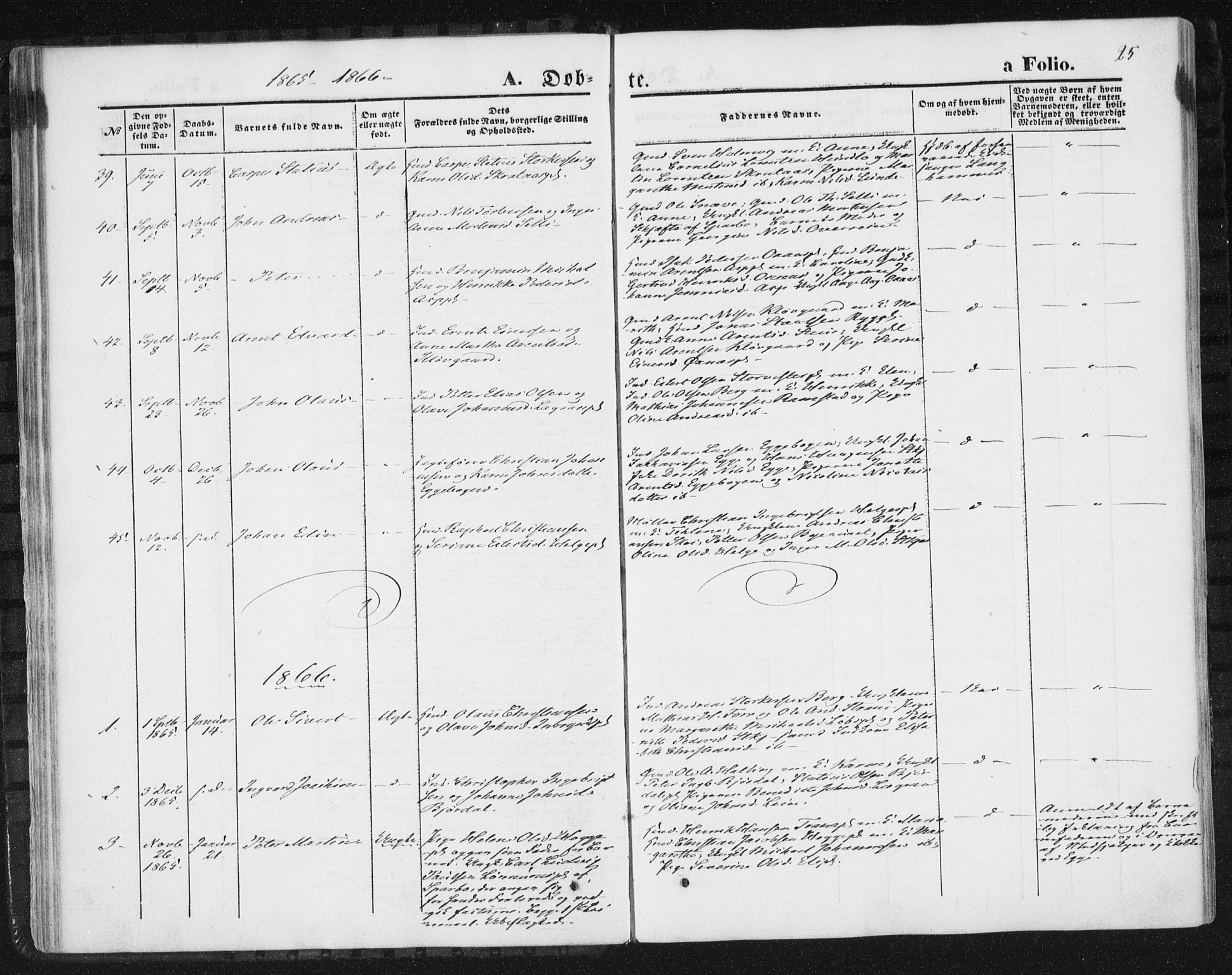 Ministerialprotokoller, klokkerbøker og fødselsregistre - Nord-Trøndelag, SAT/A-1458/746/L0447: Parish register (official) no. 746A06, 1860-1877, p. 25