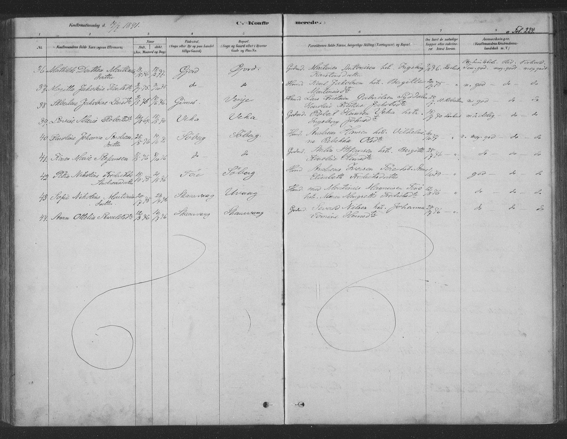 Ministerialprotokoller, klokkerbøker og fødselsregistre - Nordland, AV/SAT-A-1459/891/L1302: Parish register (official) no. 891A07, 1878-1895, p. 224