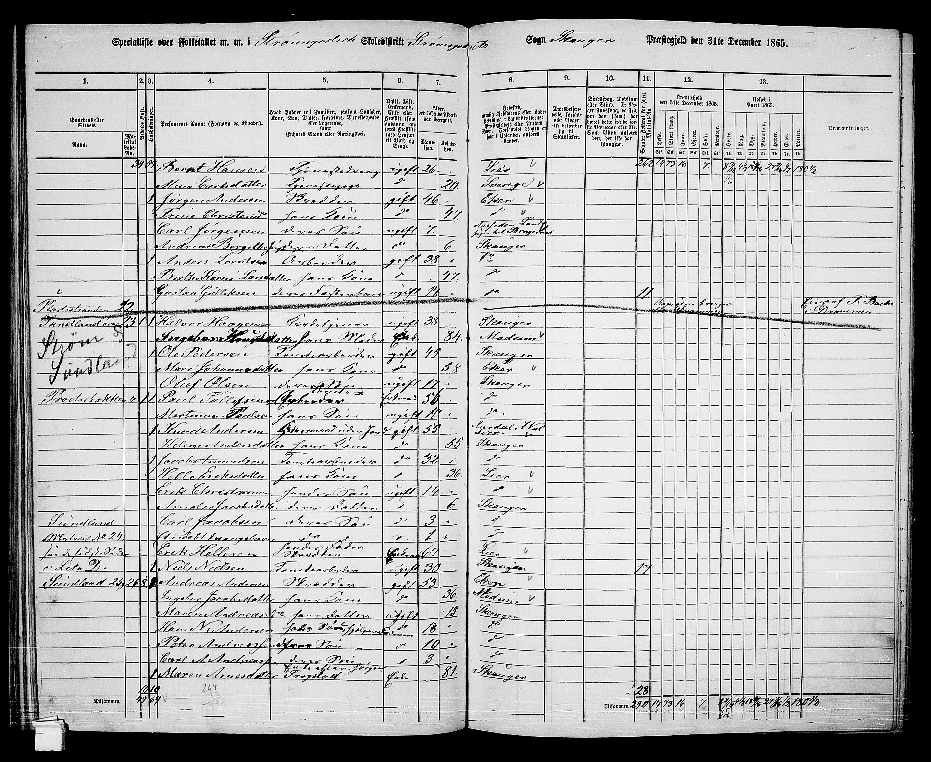 RA, 1865 census for Skoger, 1865, p. 124