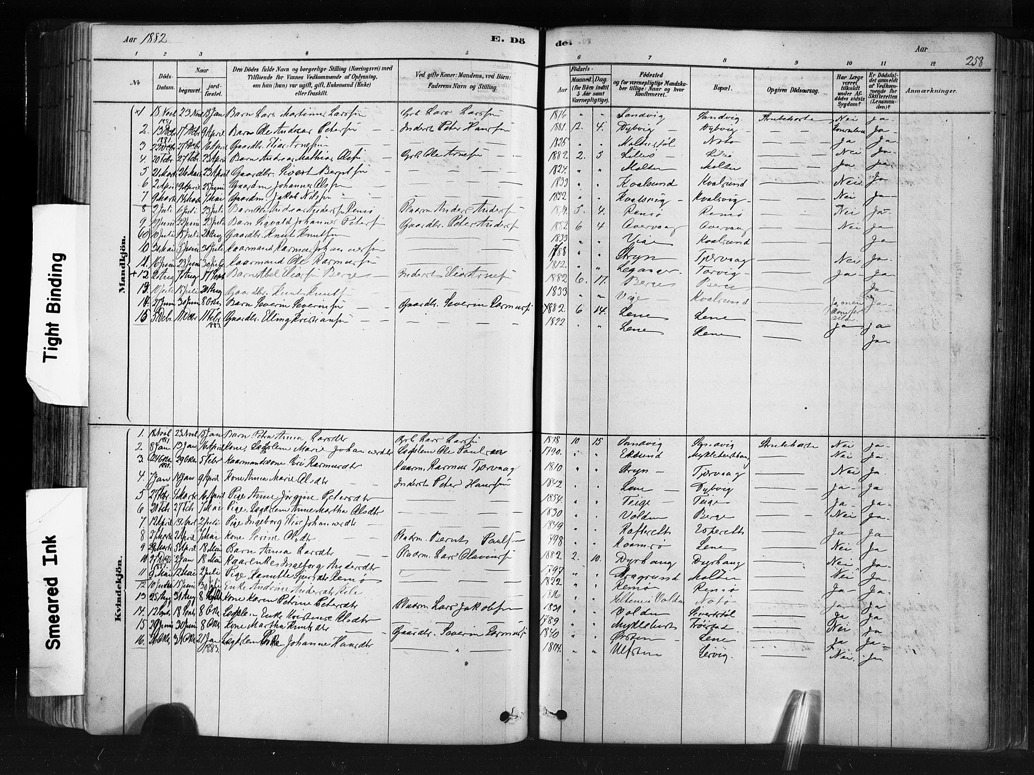 Ministerialprotokoller, klokkerbøker og fødselsregistre - Møre og Romsdal, AV/SAT-A-1454/507/L0073: Parish register (official) no. 507A08, 1878-1904, p. 258