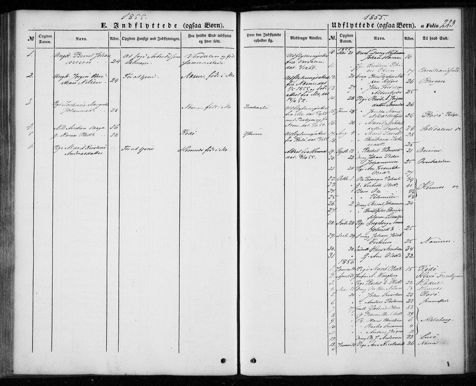 Ministerialprotokoller, klokkerbøker og fødselsregistre - Nordland, AV/SAT-A-1459/827/L0392: Parish register (official) no. 827A04, 1853-1866, p. 223