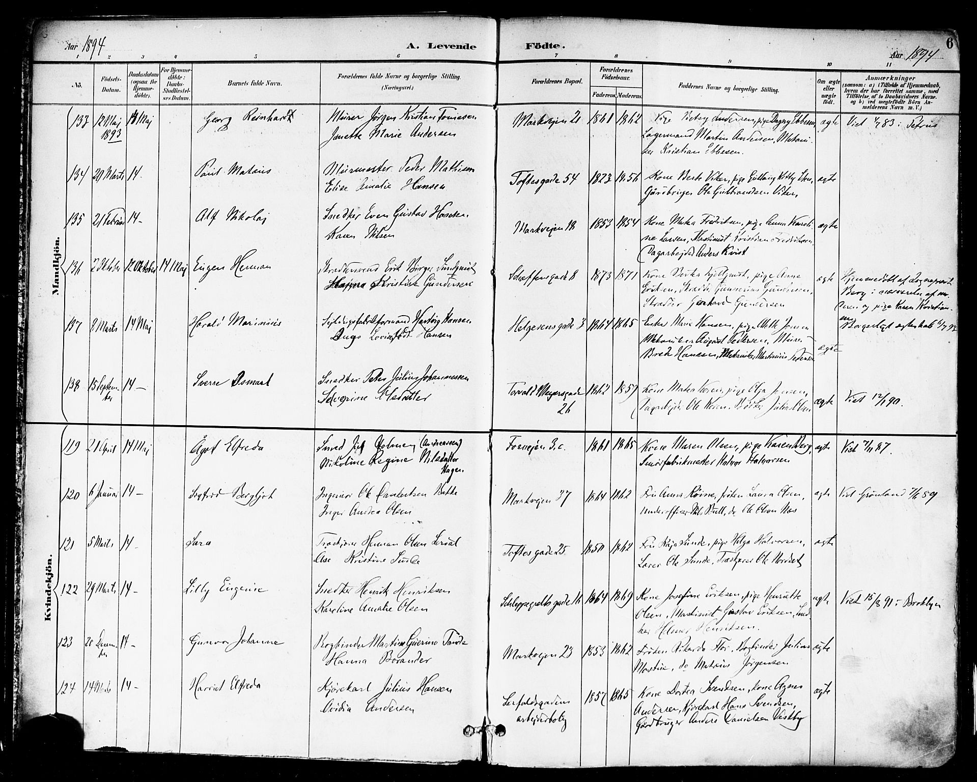 Paulus prestekontor Kirkebøker, AV/SAO-A-10871/F/Fa/L0014: Parish register (official) no. 14, 1894-1902, p. 6