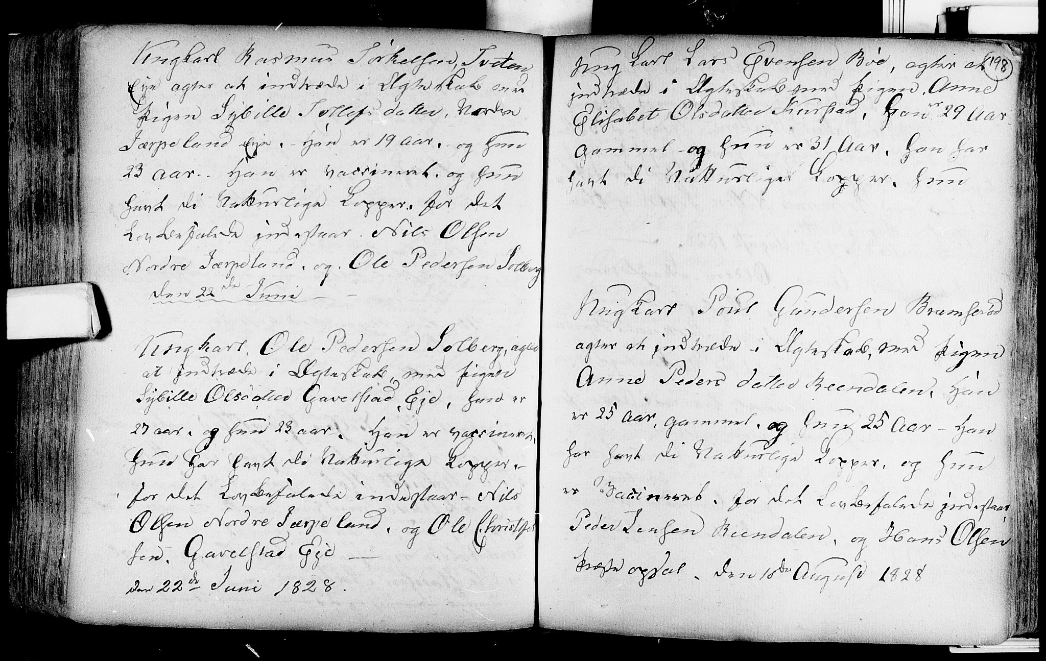 Lardal kirkebøker, SAKO/A-350/F/Fa/L0004: Parish register (official) no. i 4, 1733-1815, p. 198