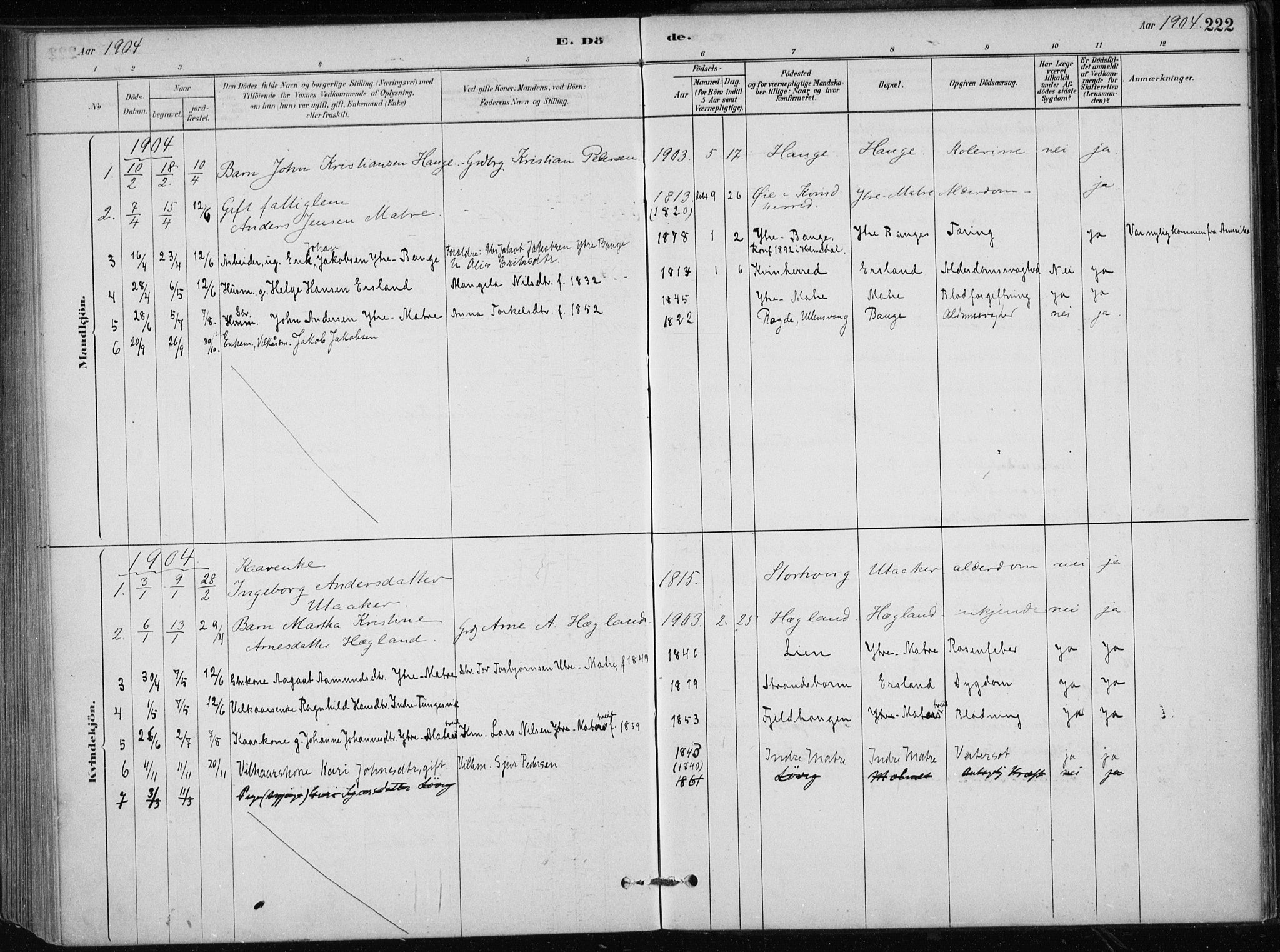 Skånevik sokneprestembete, AV/SAB-A-77801/H/Haa: Parish register (official) no. C  1, 1879-1917, p. 222