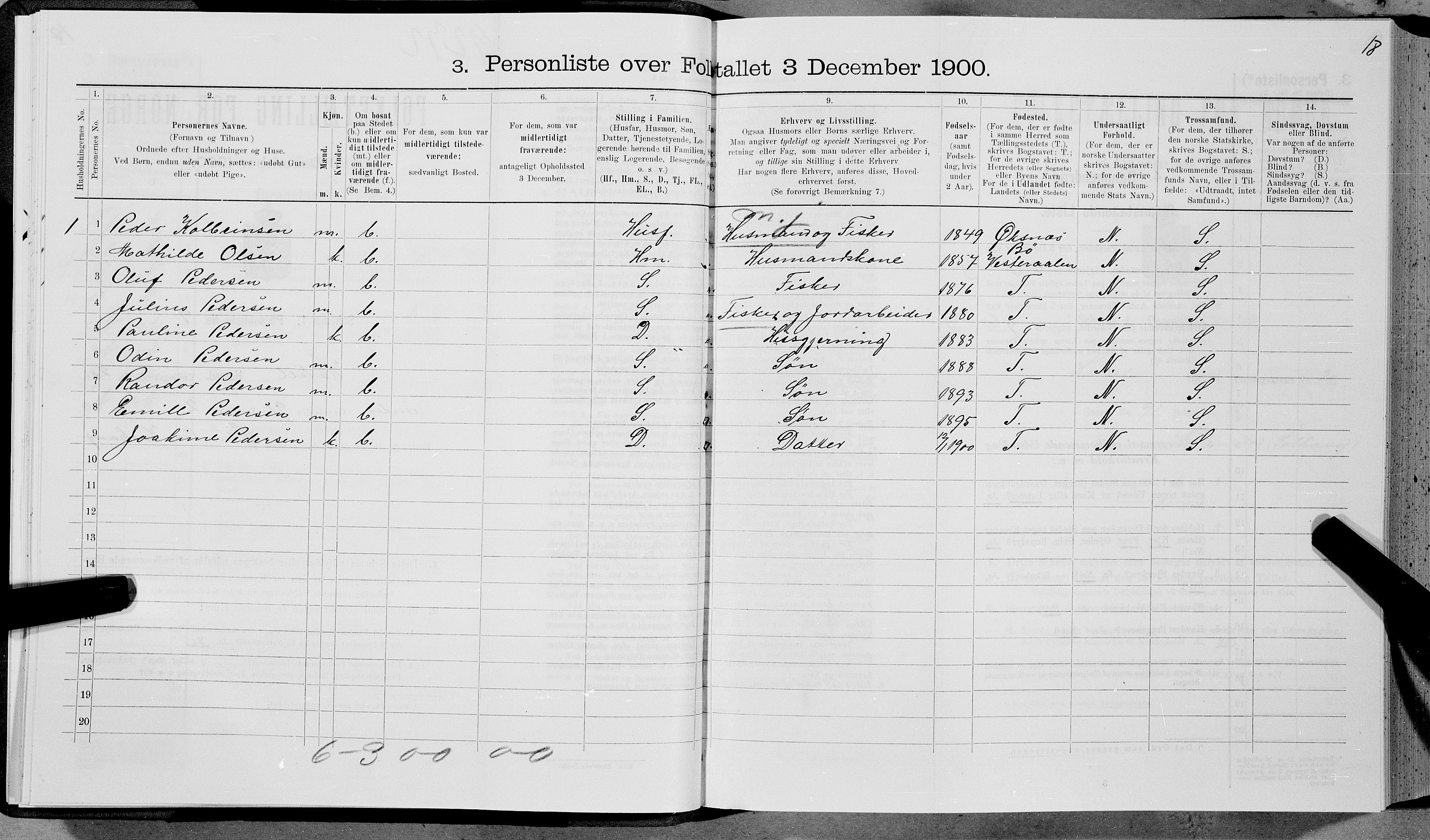 SAT, 1900 census for Hadsel, 1900, p. 1913