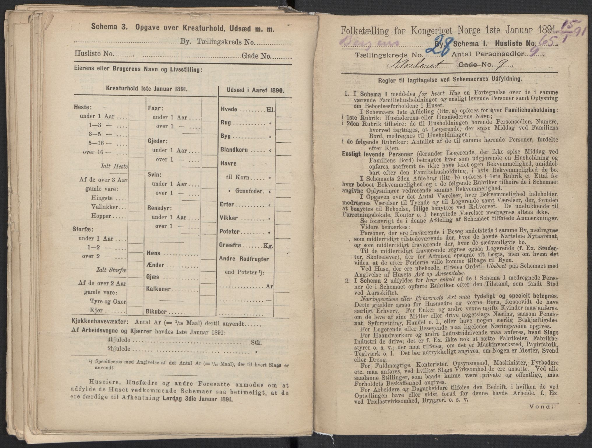 RA, 1891 Census for 1301 Bergen, 1891, p. 4551