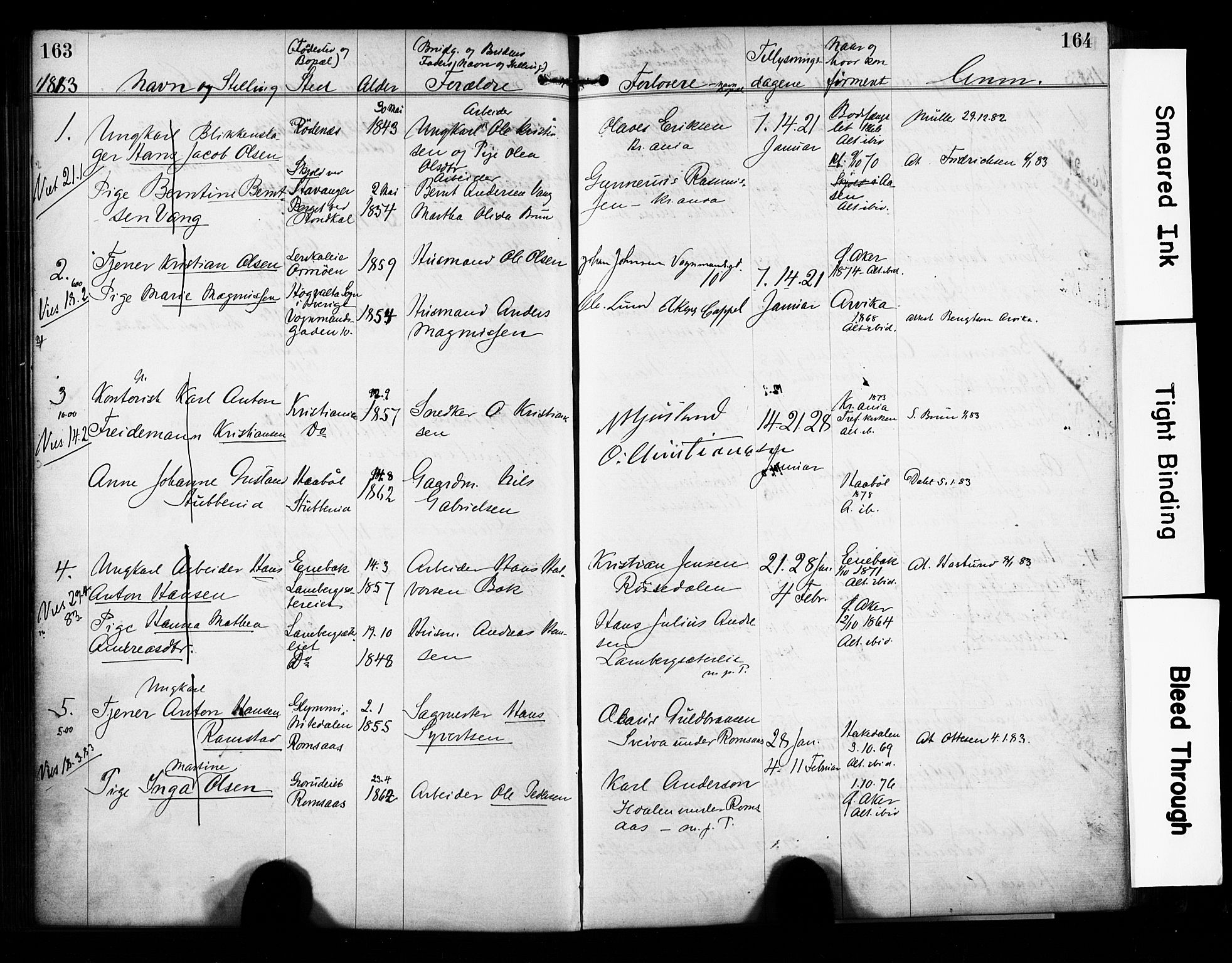 Østre Aker prestekontor Kirkebøker, AV/SAO-A-10840/H/Ha/L0004: Banns register no. I 4, 1878-1901, p. 163-164