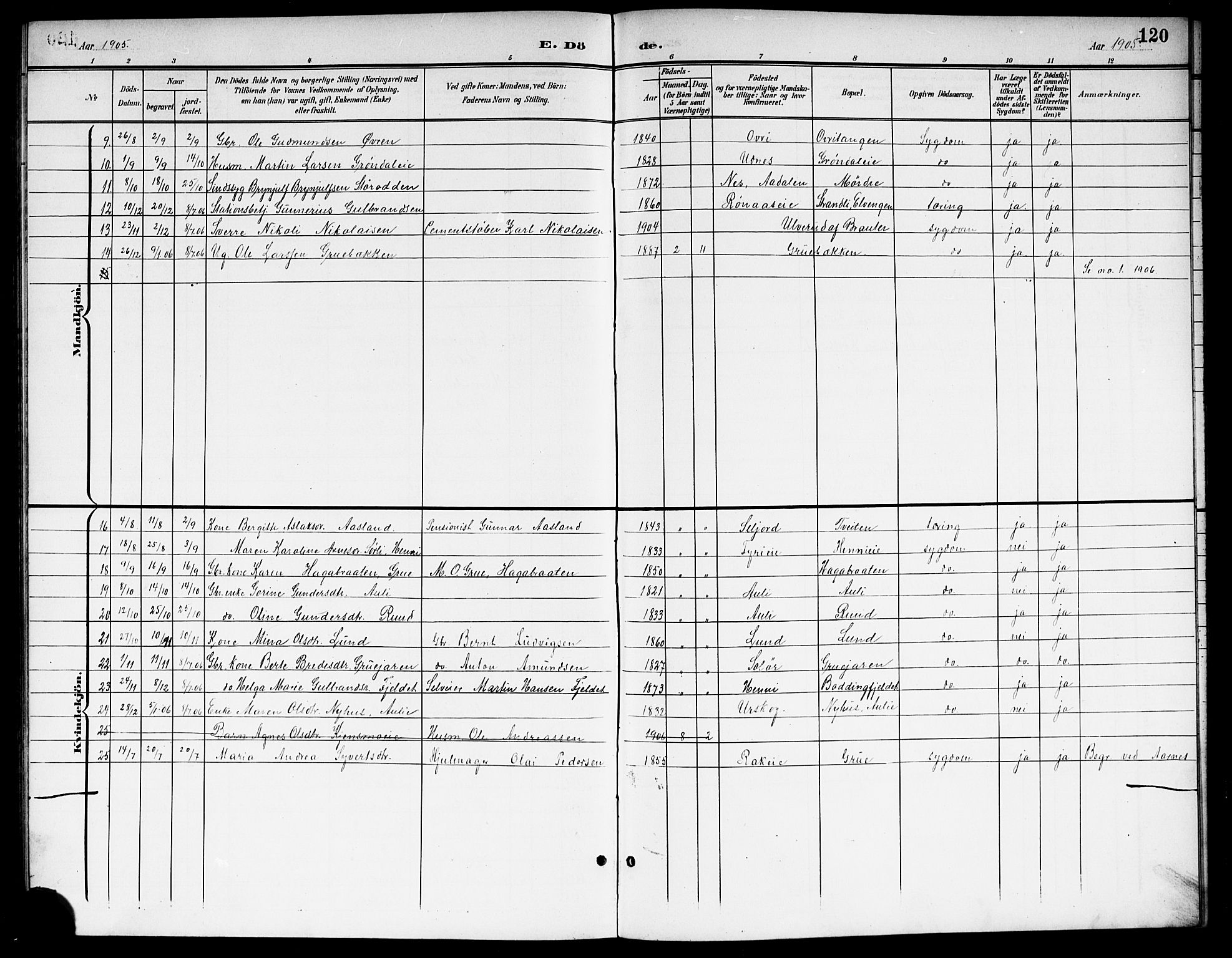 Nes prestekontor Kirkebøker, AV/SAO-A-10410/G/Gb/L0001: Parish register (copy) no. II 1, 1901-1917, p. 120