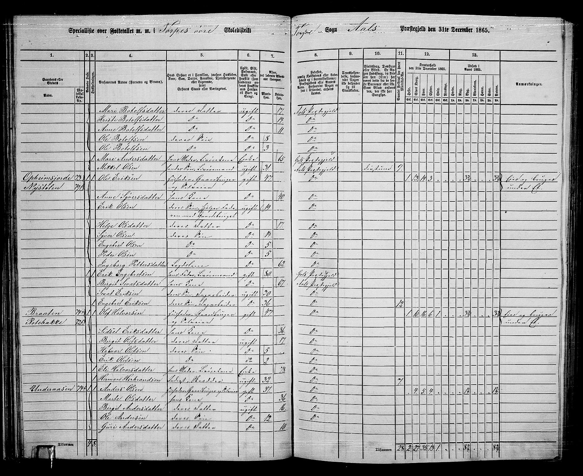 RA, 1865 census for Ål, 1865, p. 50