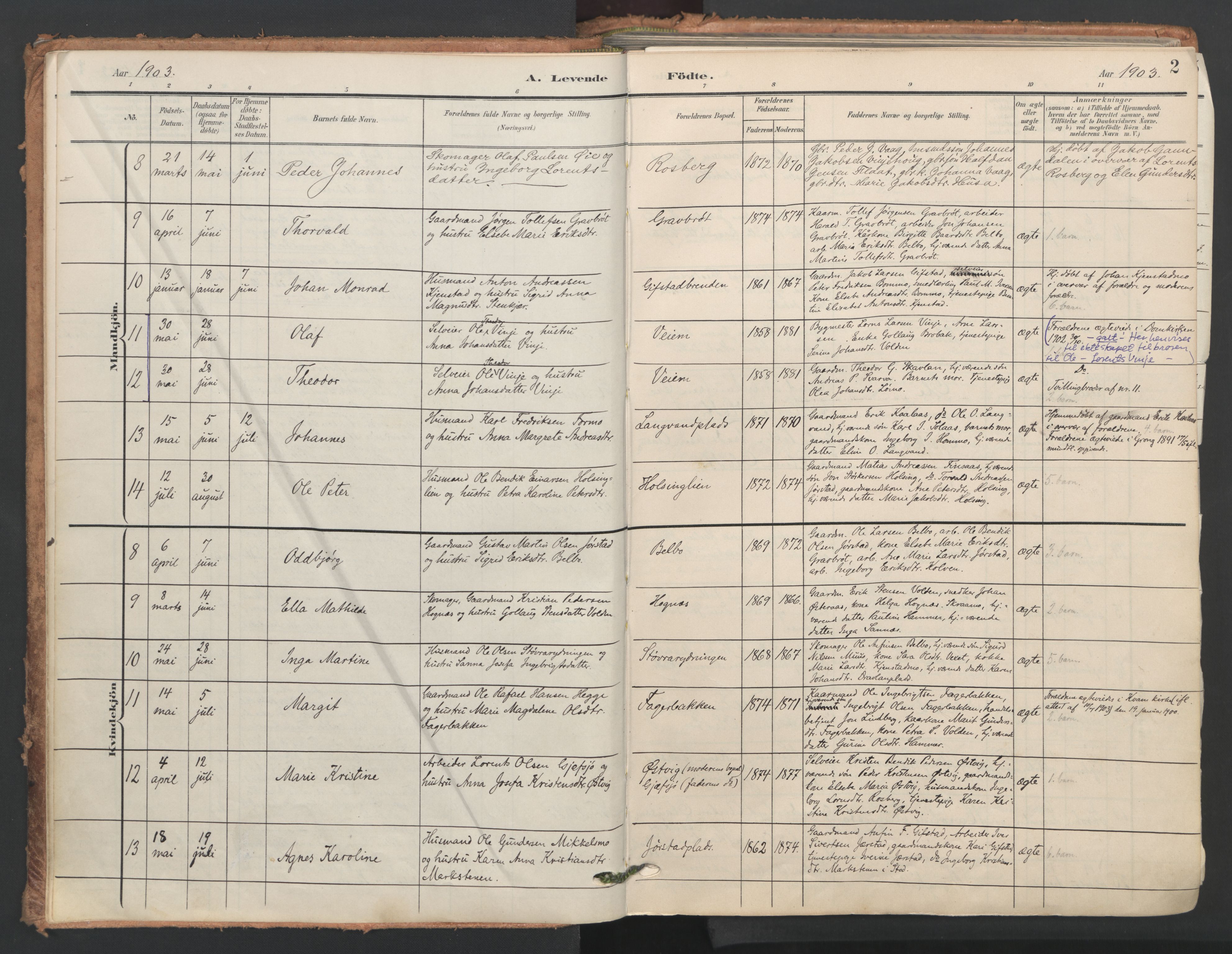 Ministerialprotokoller, klokkerbøker og fødselsregistre - Nord-Trøndelag, SAT/A-1458/749/L0477: Parish register (official) no. 749A11, 1902-1927, p. 2