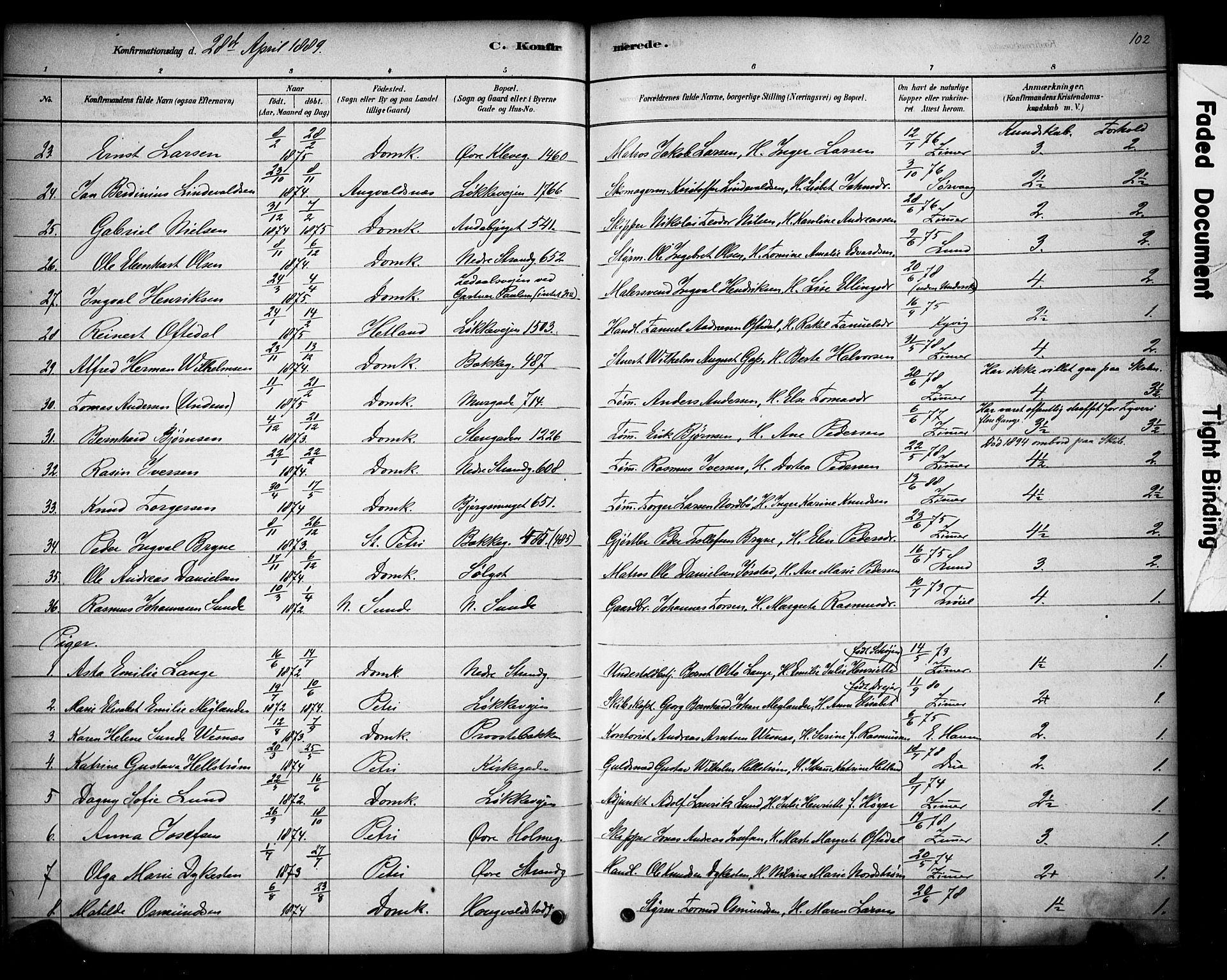 Domkirken sokneprestkontor, AV/SAST-A-101812/001/30/30BA/L0028: Parish register (official) no. A 27, 1878-1896, p. 102