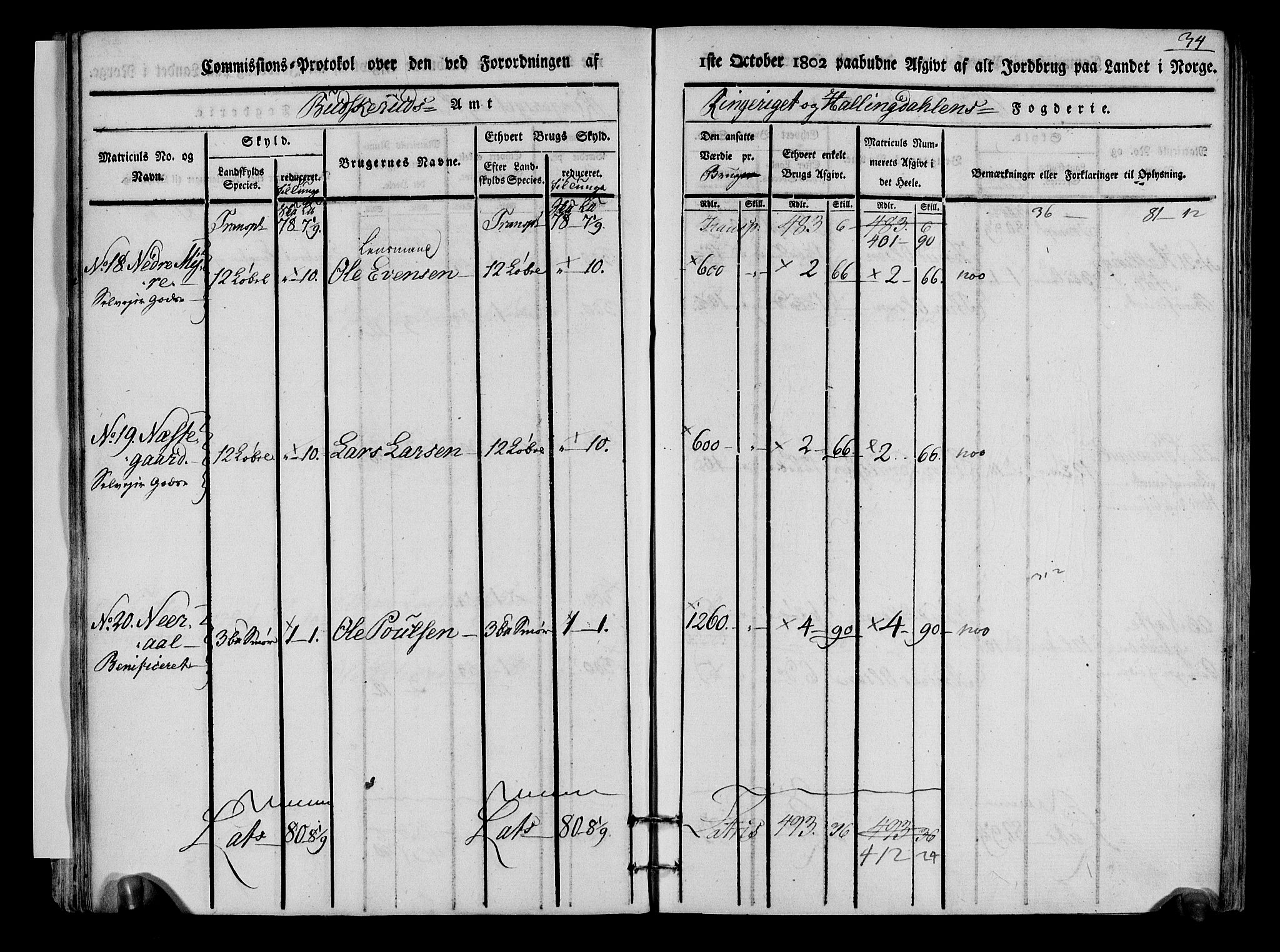 Rentekammeret inntil 1814, Realistisk ordnet avdeling, AV/RA-EA-4070/N/Ne/Nea/L0048: Ringerike og Hallingdal fogderi. Kommisjonsprotokoll for Ål prestegjeld, 1803, p. 37