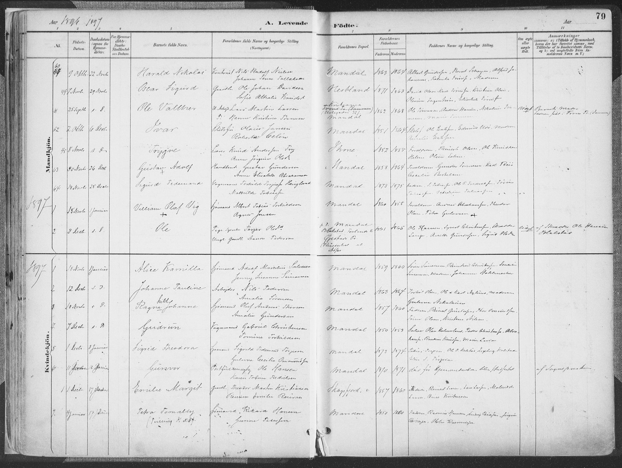 Mandal sokneprestkontor, AV/SAK-1111-0030/F/Fa/Faa/L0018: Parish register (official) no. A 18, 1890-1905, p. 79