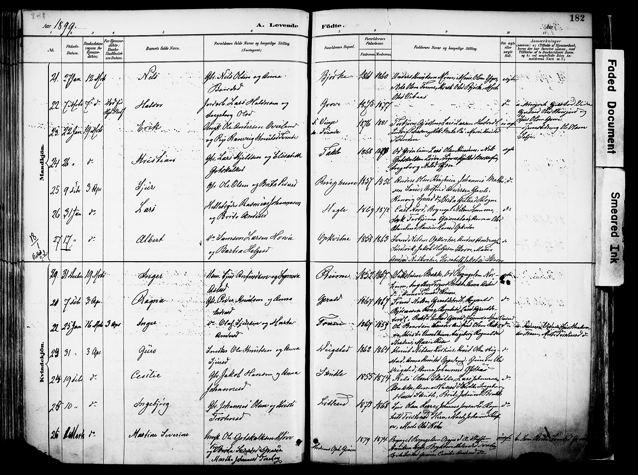 Voss sokneprestembete, AV/SAB-A-79001/H/Haa: Parish register (official) no. A 21, 1887-1903, p. 182