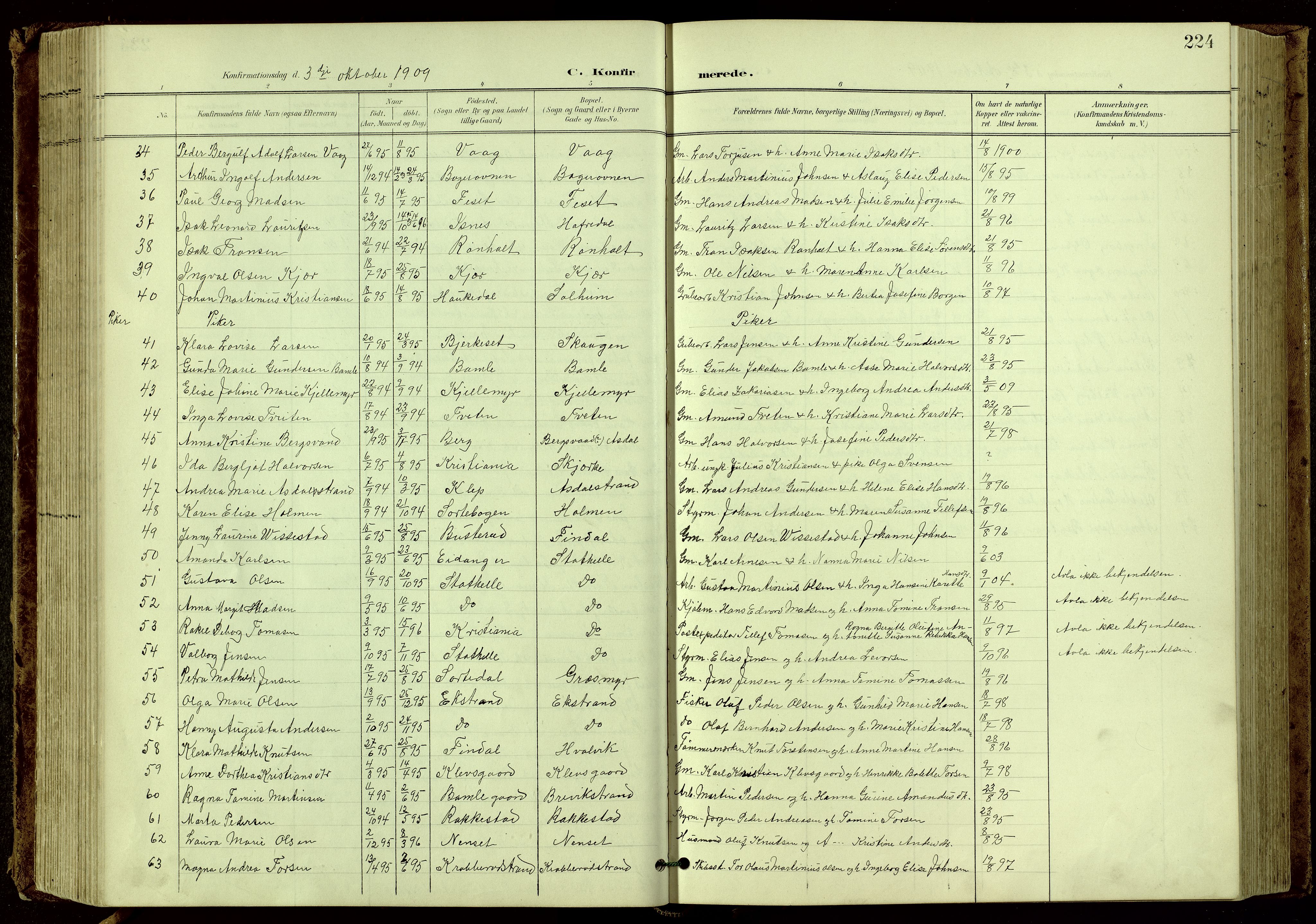 Bamble kirkebøker, SAKO/A-253/G/Ga/L0010: Parish register (copy) no. I 10, 1901-1919, p. 224