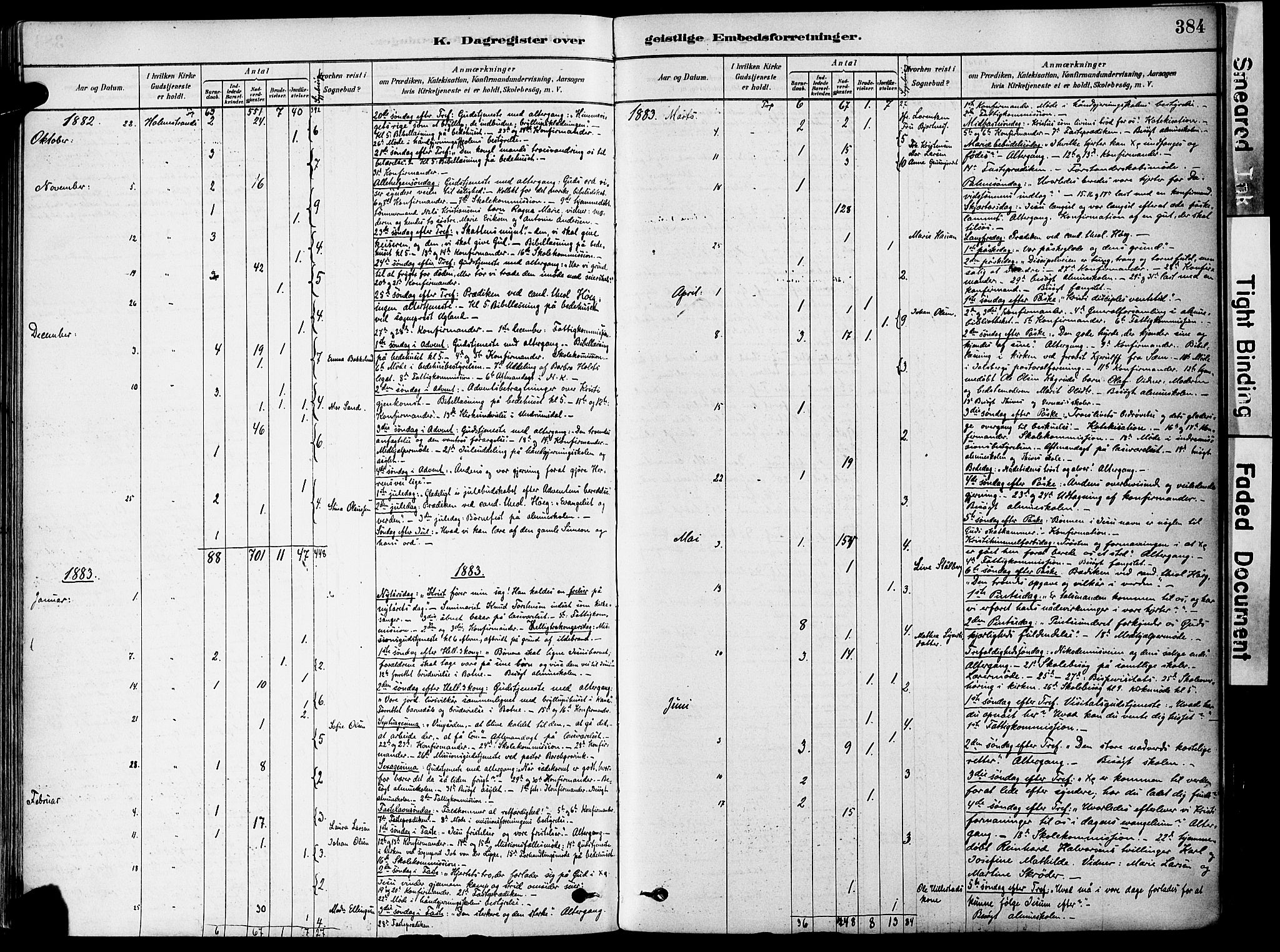 Holmestrand kirkebøker, AV/SAKO-A-346/F/Fa/L0004: Parish register (official) no. 4, 1880-1901, p. 384