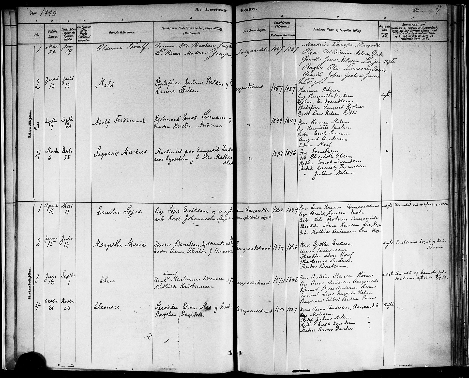 Borre kirkebøker, AV/SAKO-A-338/F/Fb/L0001: Parish register (official) no. II 1, 1878-1892, p. 17