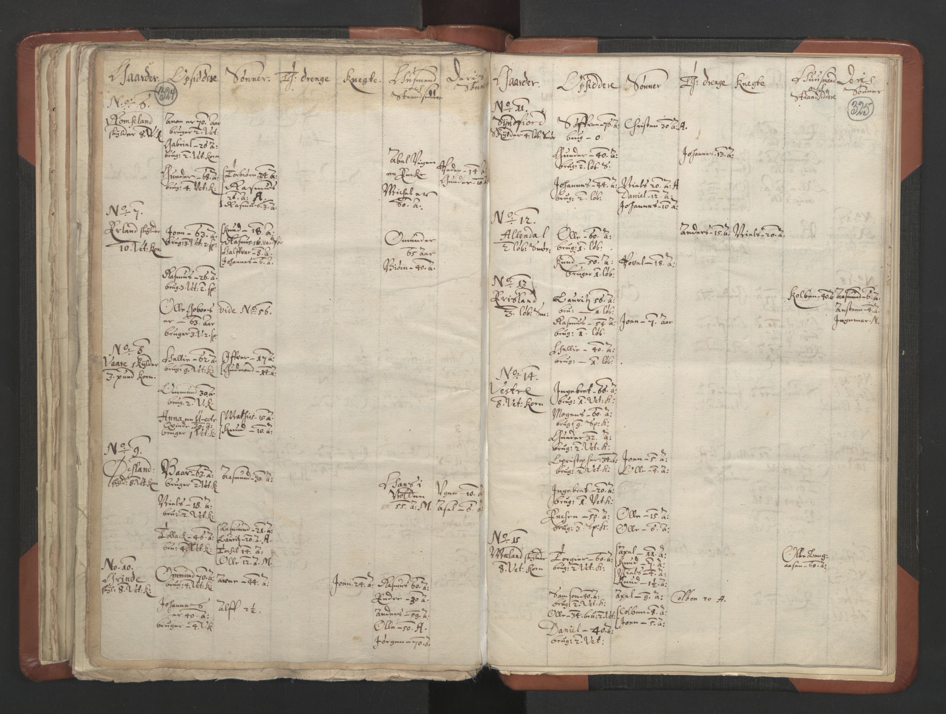RA, Vicar's Census 1664-1666, no. 19: Ryfylke deanery, 1664-1666, p. 324-325