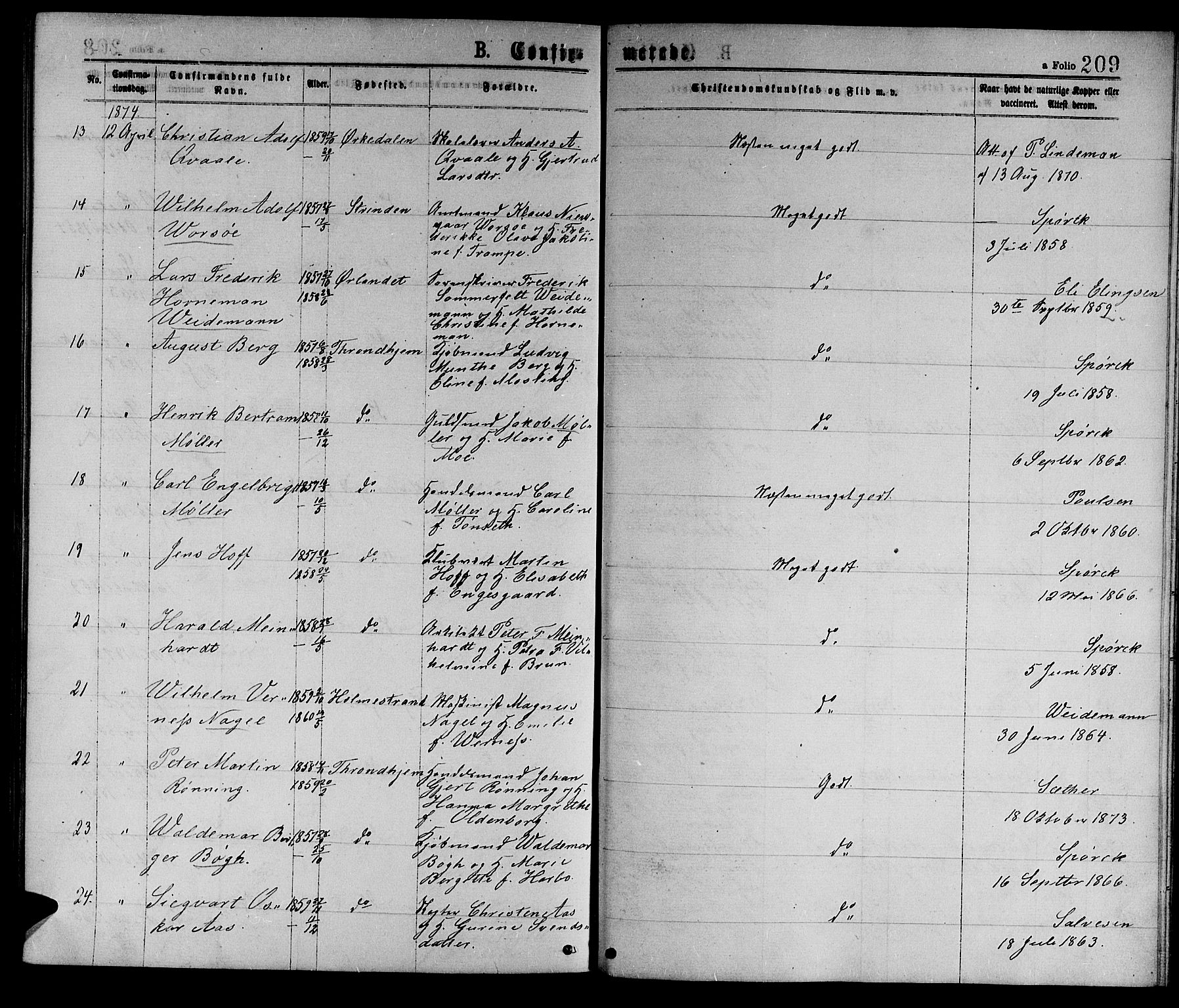 Ministerialprotokoller, klokkerbøker og fødselsregistre - Sør-Trøndelag, SAT/A-1456/601/L0088: Parish register (copy) no. 601C06, 1870-1878, p. 209