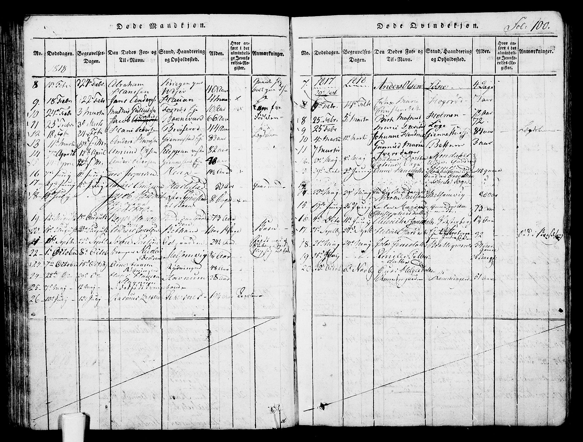 Stokke kirkebøker, AV/SAKO-A-320/F/Fa/L0005: Parish register (official) no. I 5, 1815-1826, p. 100