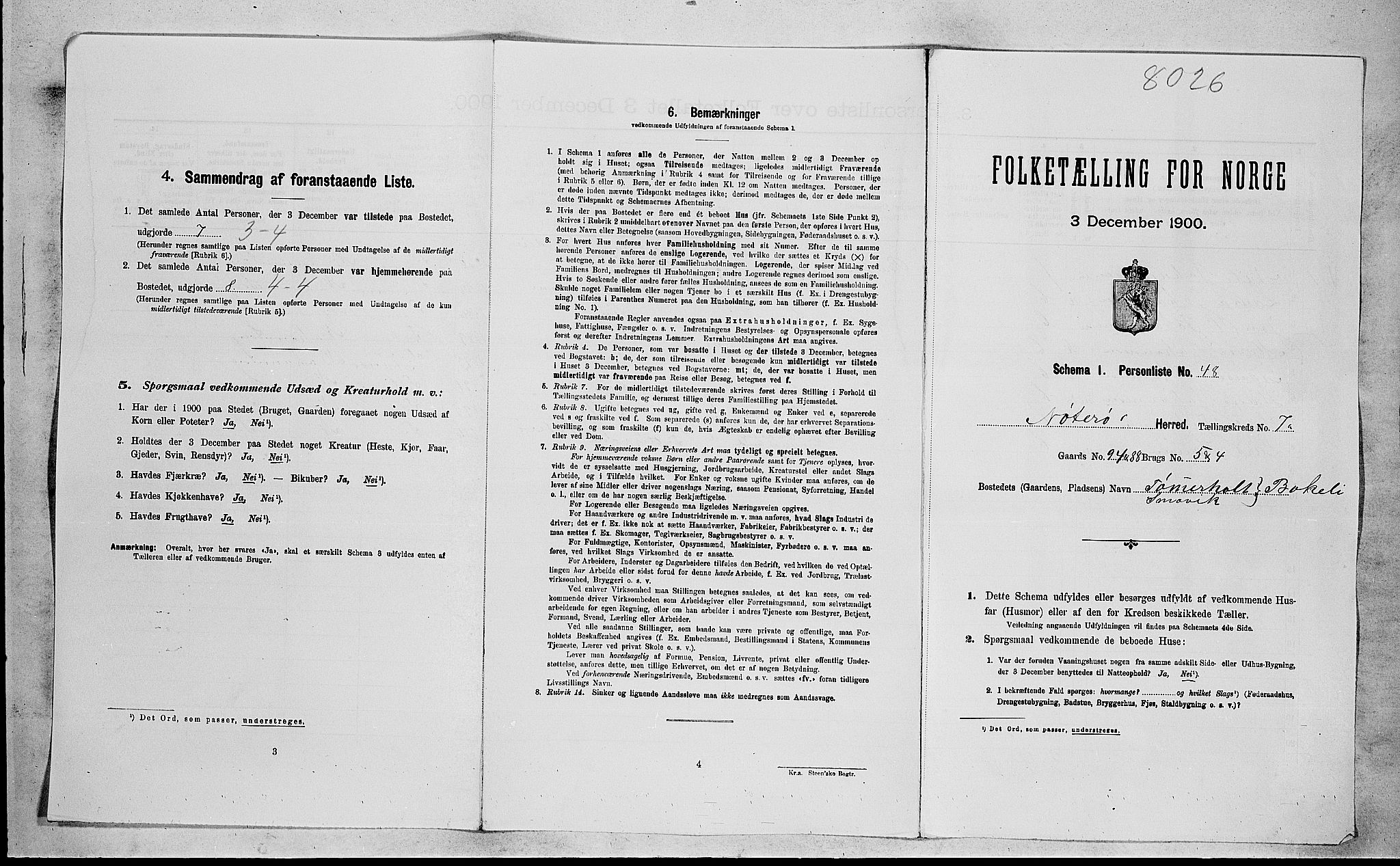 RA, 1900 census for Nøtterøy, 1900, p. 2174