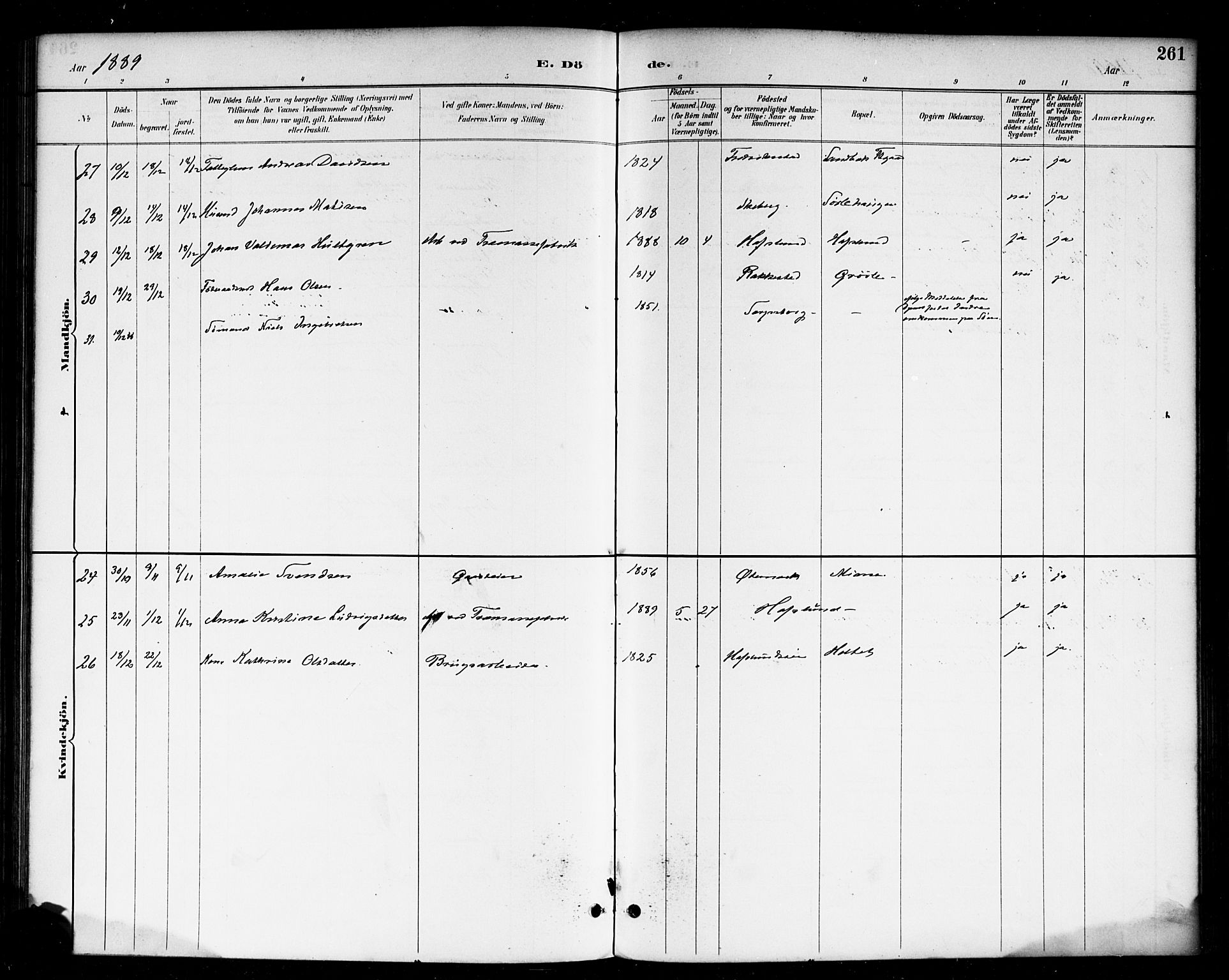 Skjeberg prestekontor Kirkebøker, AV/SAO-A-10923/F/Fa/L0009: Parish register (official) no. I 9, 1886-1897, p. 261