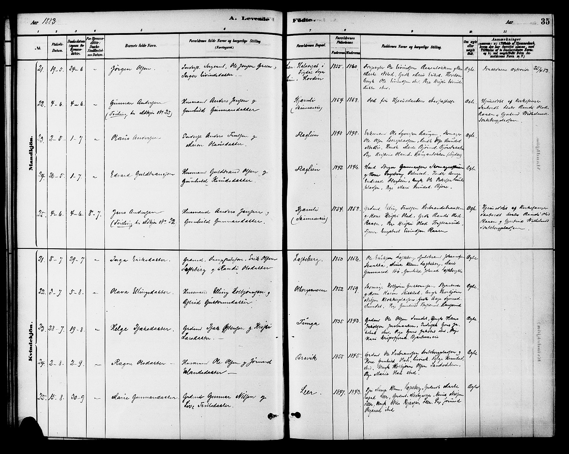 Krødsherad kirkebøker, AV/SAKO-A-19/G/Ga/L0001: Parish register (copy) no. 1, 1879-1893, p. 35