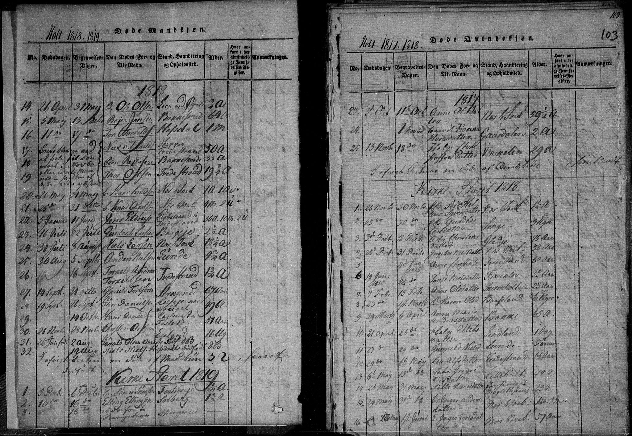 Holt sokneprestkontor, SAK/1111-0021/F/Fa/L0005: Parish register (official) no. A 5, 1813-1821, p. 103
