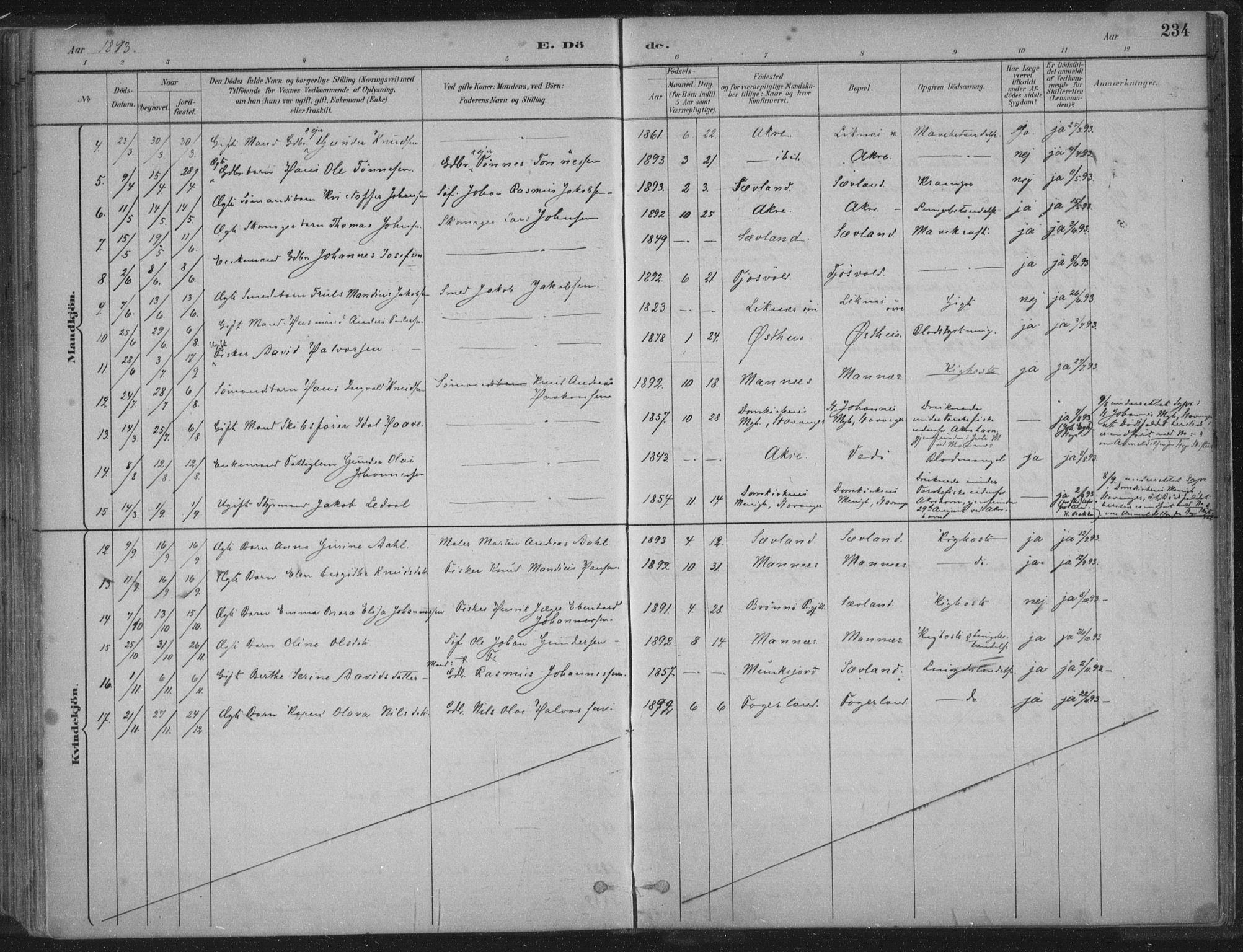 Kopervik sokneprestkontor, AV/SAST-A-101850/H/Ha/Haa/L0004: Parish register (official) no. A 4, 1882-1905, p. 234