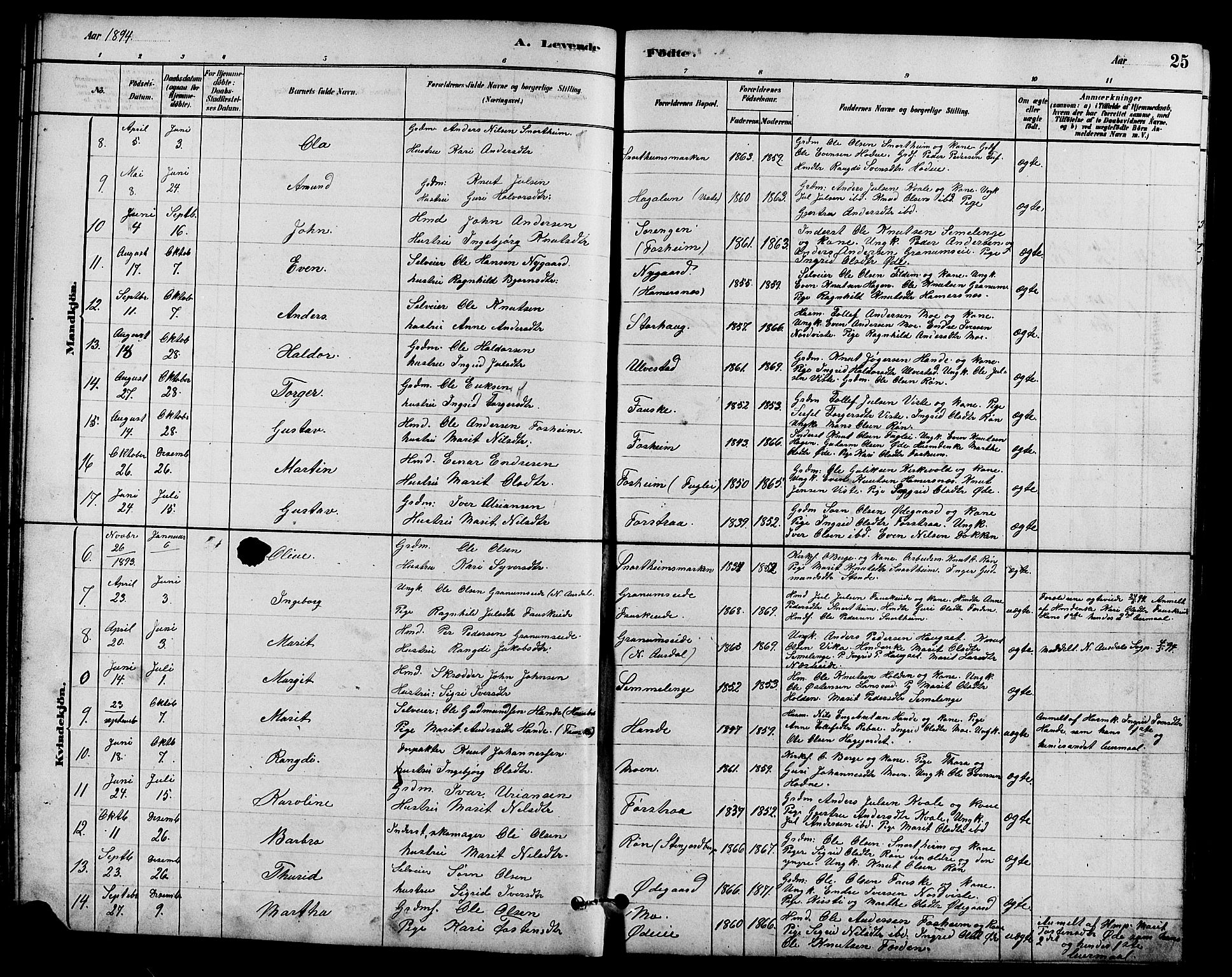 Vestre Slidre prestekontor, SAH/PREST-136/H/Ha/Hab/L0005: Parish register (copy) no. 5, 1881-1913, p. 25