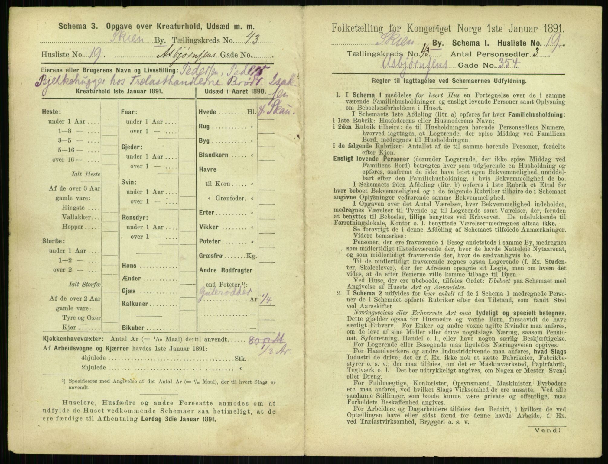 RA, 1891 census for 0806 Skien, 1891, p. 1520