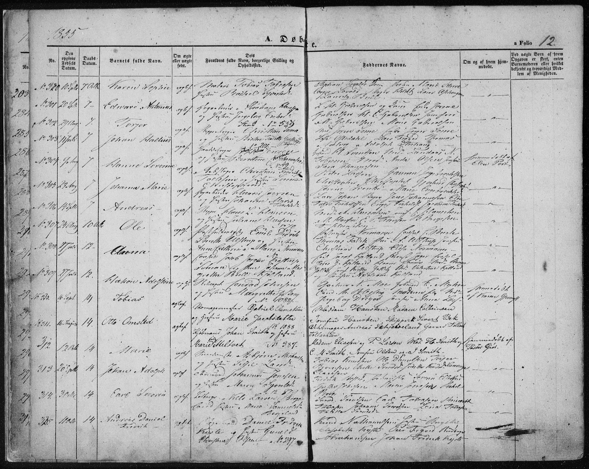 Domkirken sokneprestkontor, AV/SAST-A-101812/001/30/30BA/L0017: Parish register (official) no. A 16, 1855-1867, p. 12