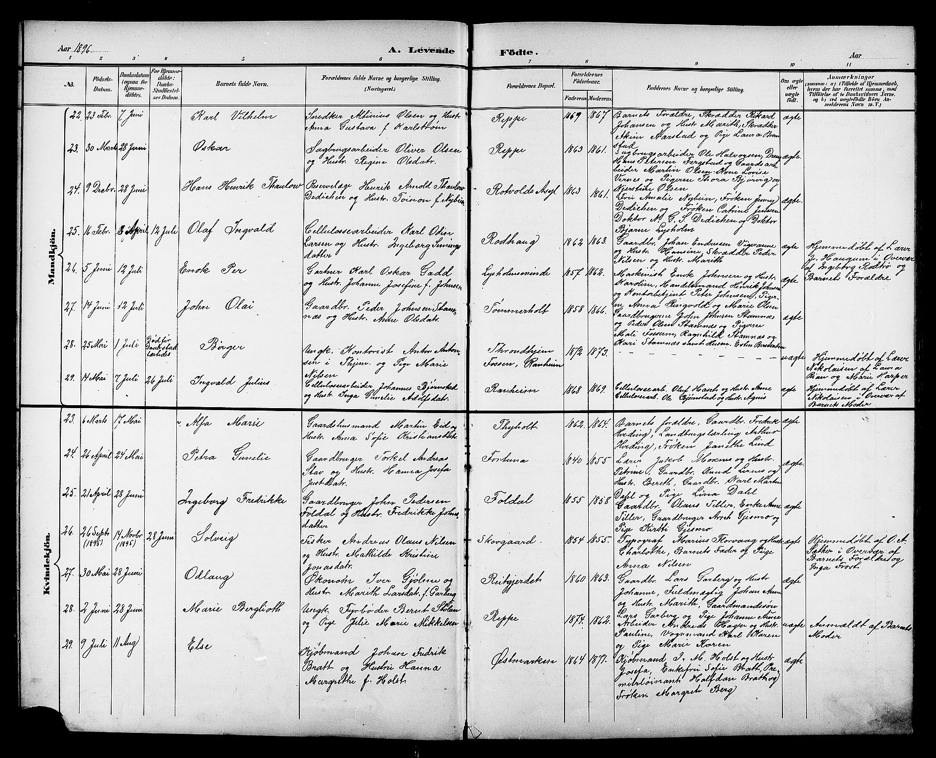 Ministerialprotokoller, klokkerbøker og fødselsregistre - Sør-Trøndelag, AV/SAT-A-1456/606/L0313: Parish register (copy) no. 606C09, 1895-1910