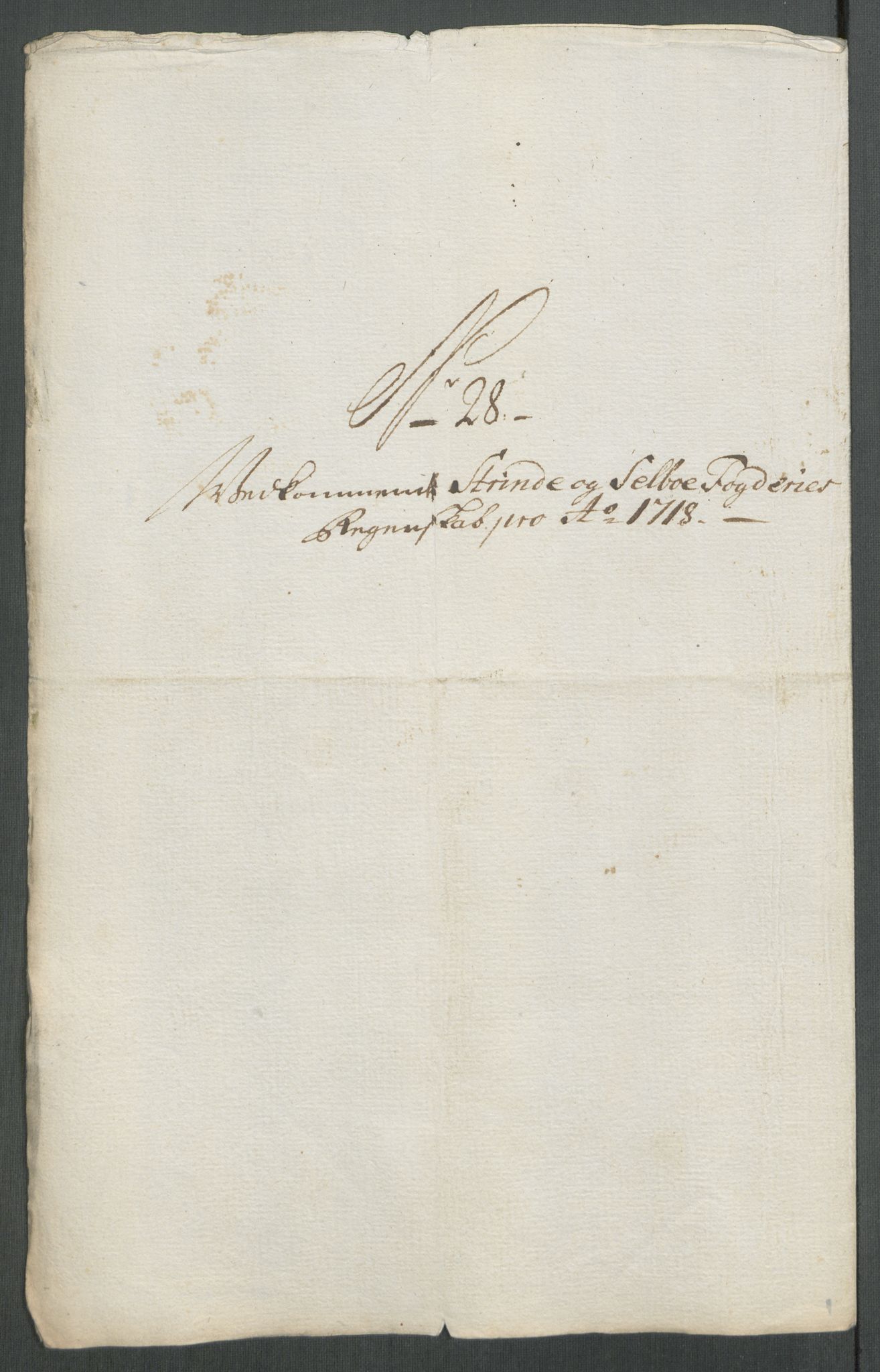 Rentekammeret inntil 1814, Reviderte regnskaper, Fogderegnskap, RA/EA-4092/R61/L4116: Fogderegnskap Strinda og Selbu, 1717-1718, p. 487