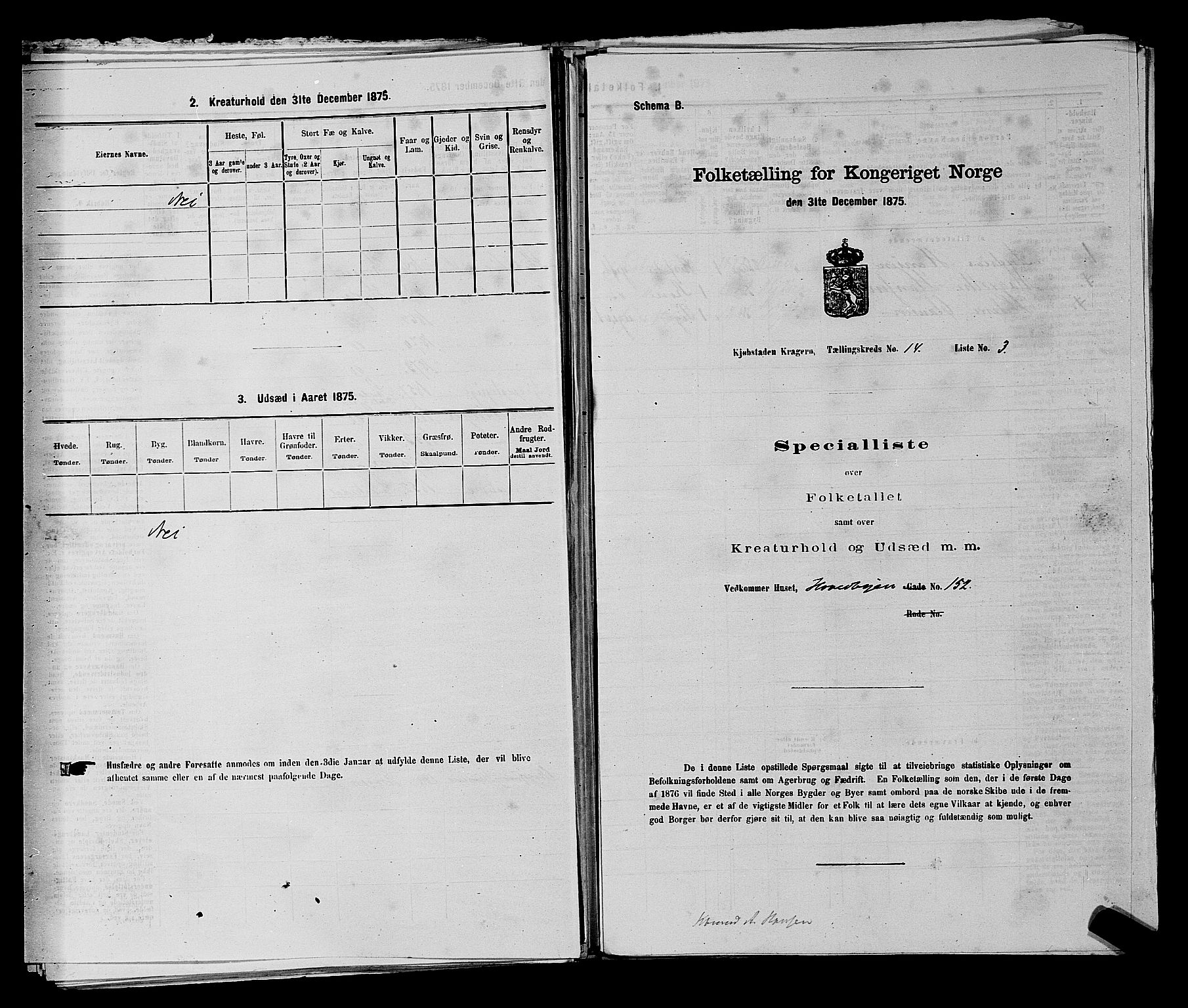 SAKO, 1875 census for 0801P Kragerø, 1875, p. 299