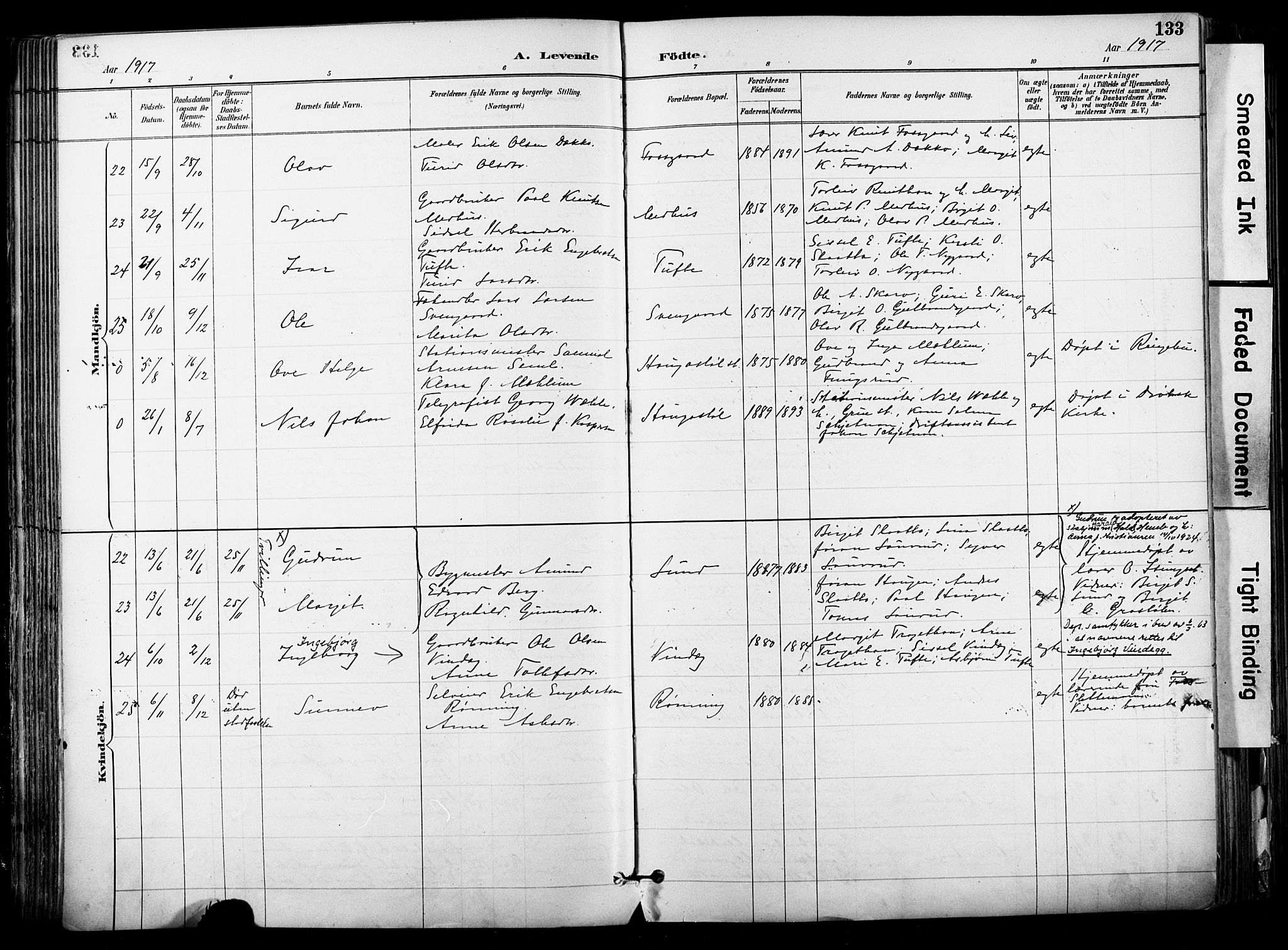 Hol kirkebøker, AV/SAKO-A-227/F/Fa/L0003: Parish register (official) no. I 3, 1887-1918, p. 133