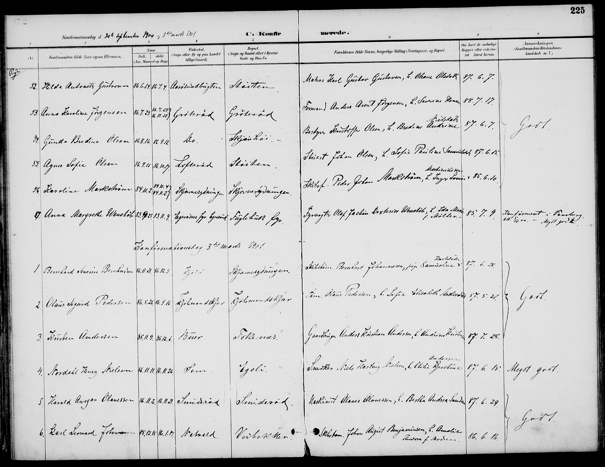 Nøtterøy kirkebøker, AV/SAKO-A-354/F/Fa/L0009: Parish register (official) no. I 9, 1894-1907, p. 225