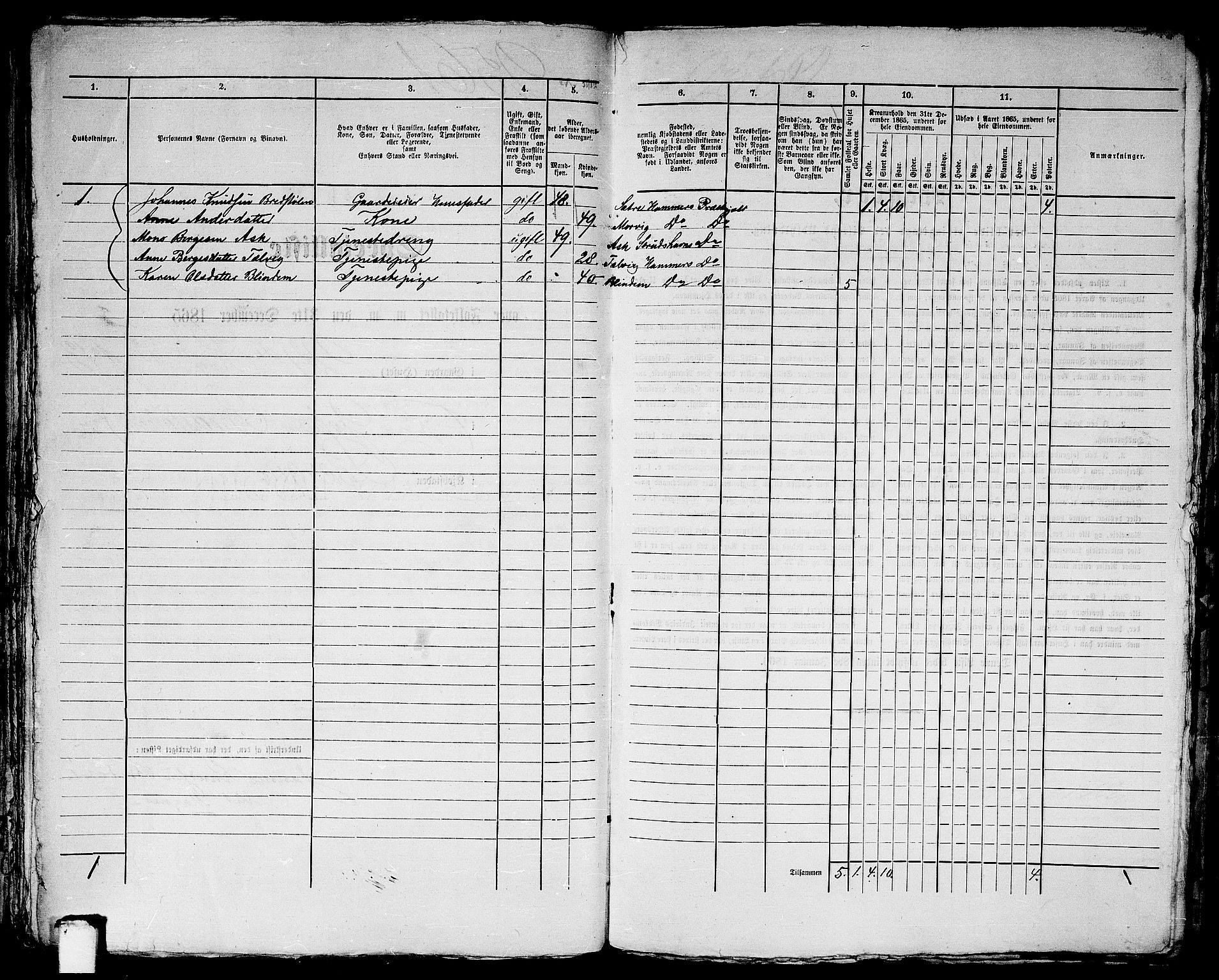 RA, 1865 census for Bergen, 1865, p. 5223